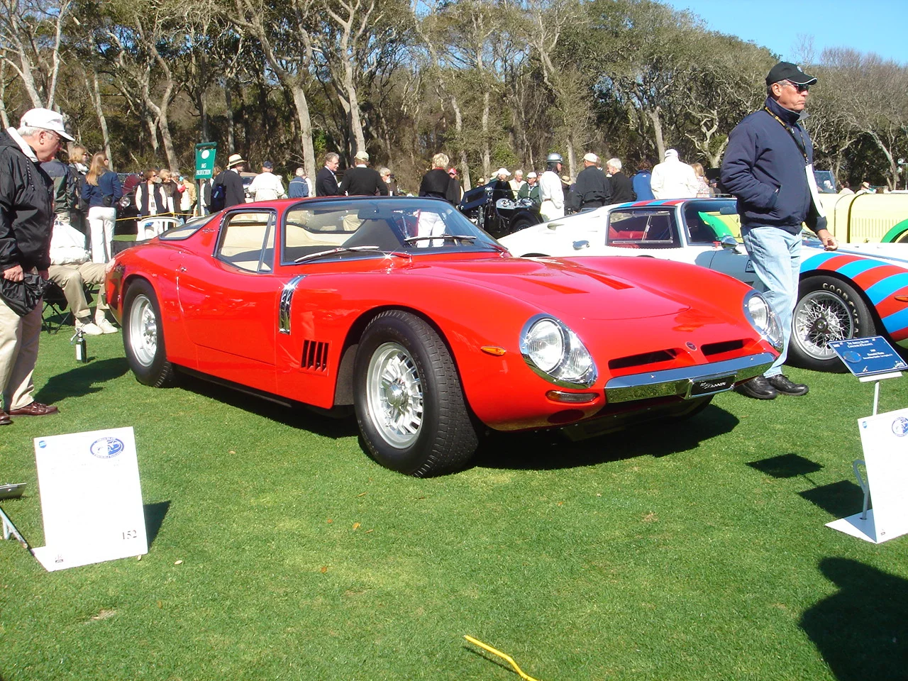 amelia08 051.jpg