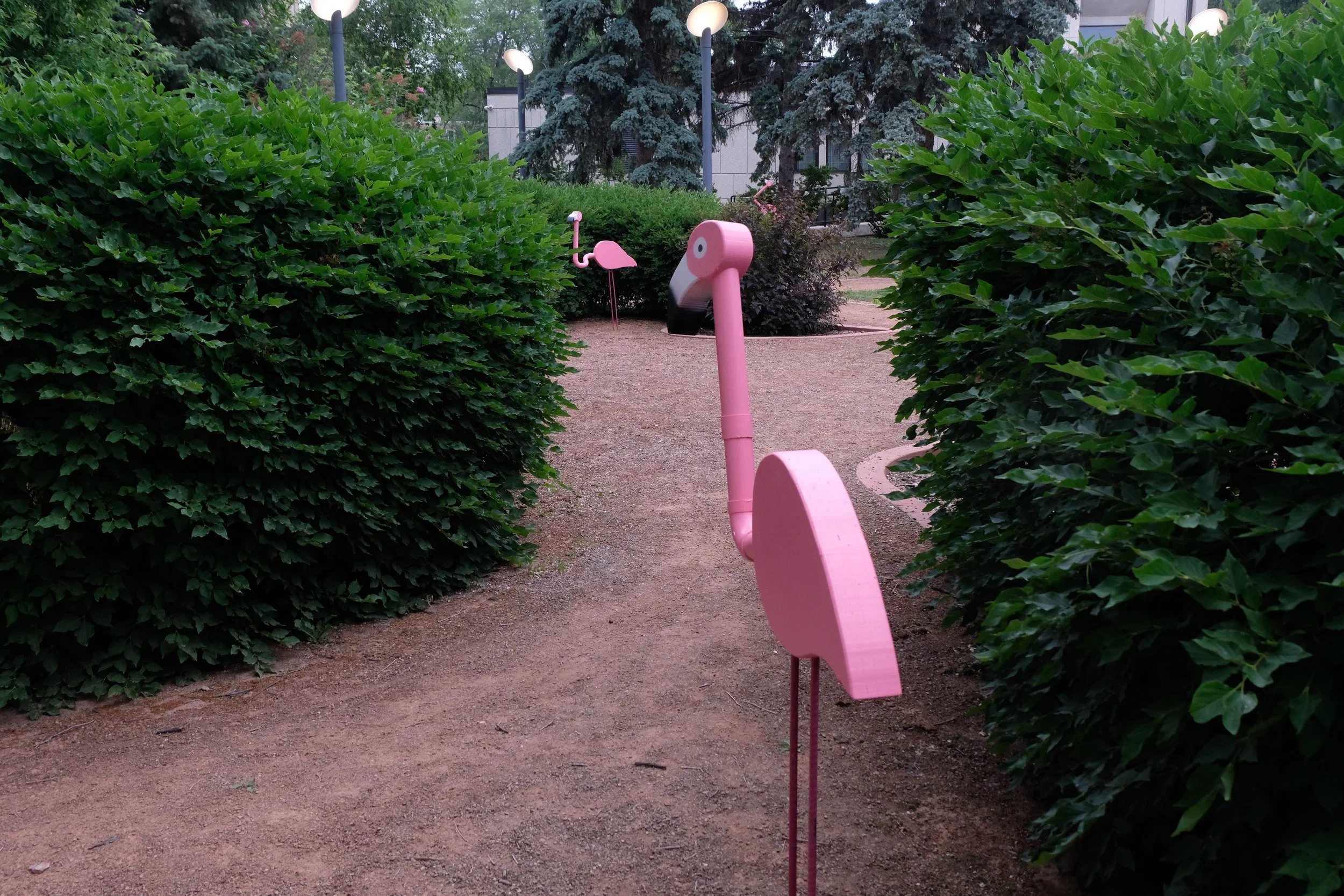 DSCF9478.JPG