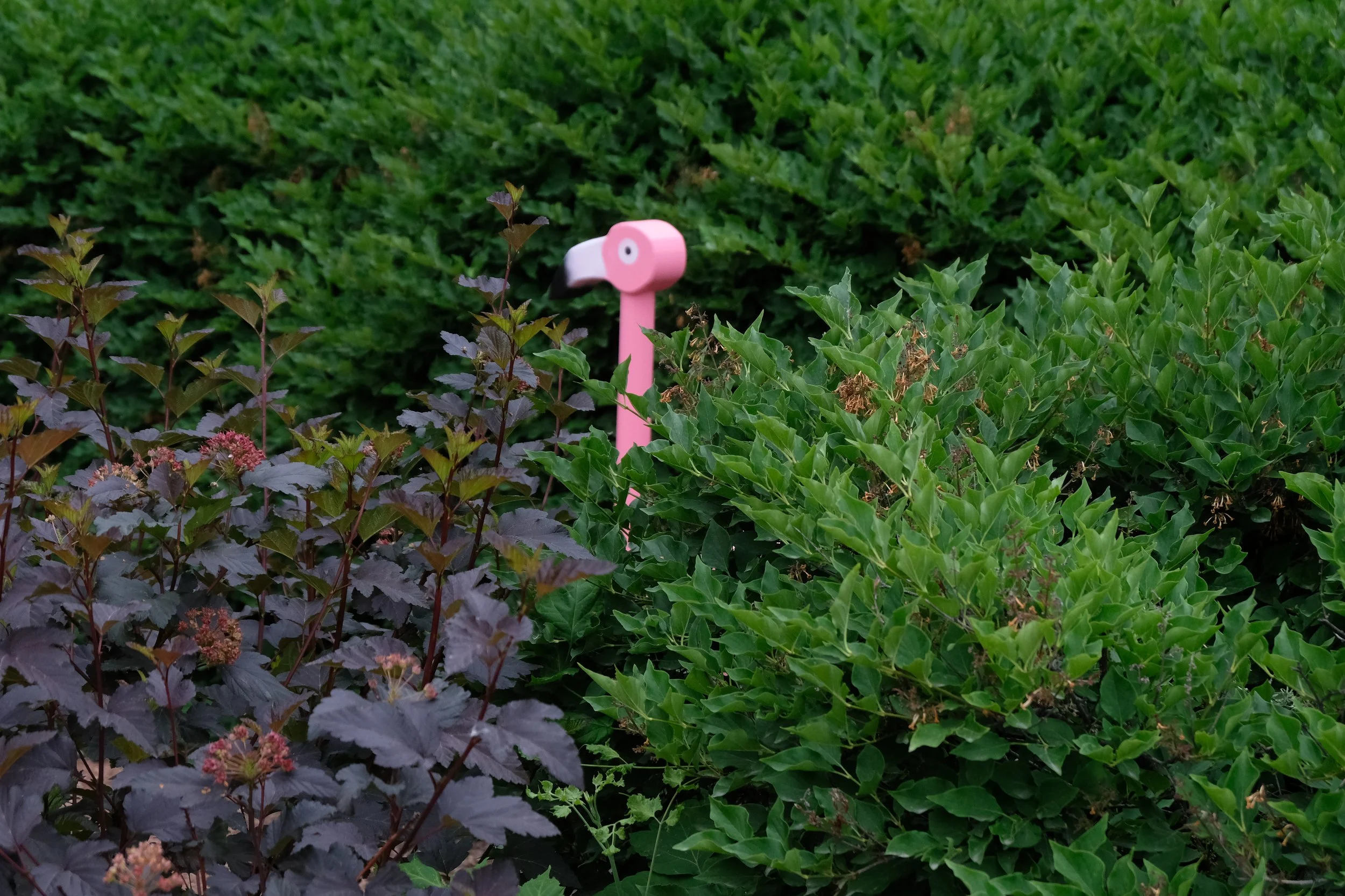 DSCF9474.JPG