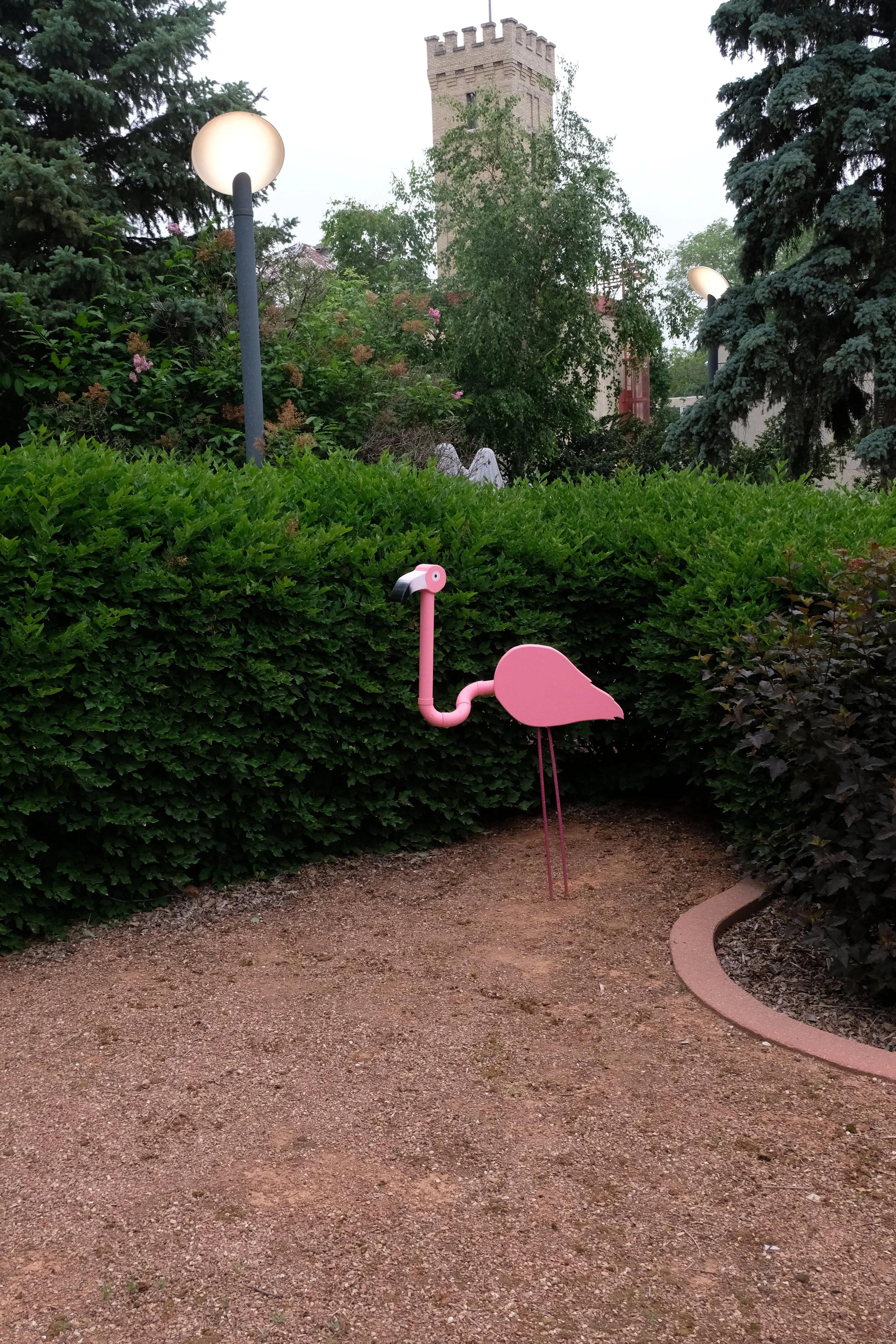 DSCF9477.JPG