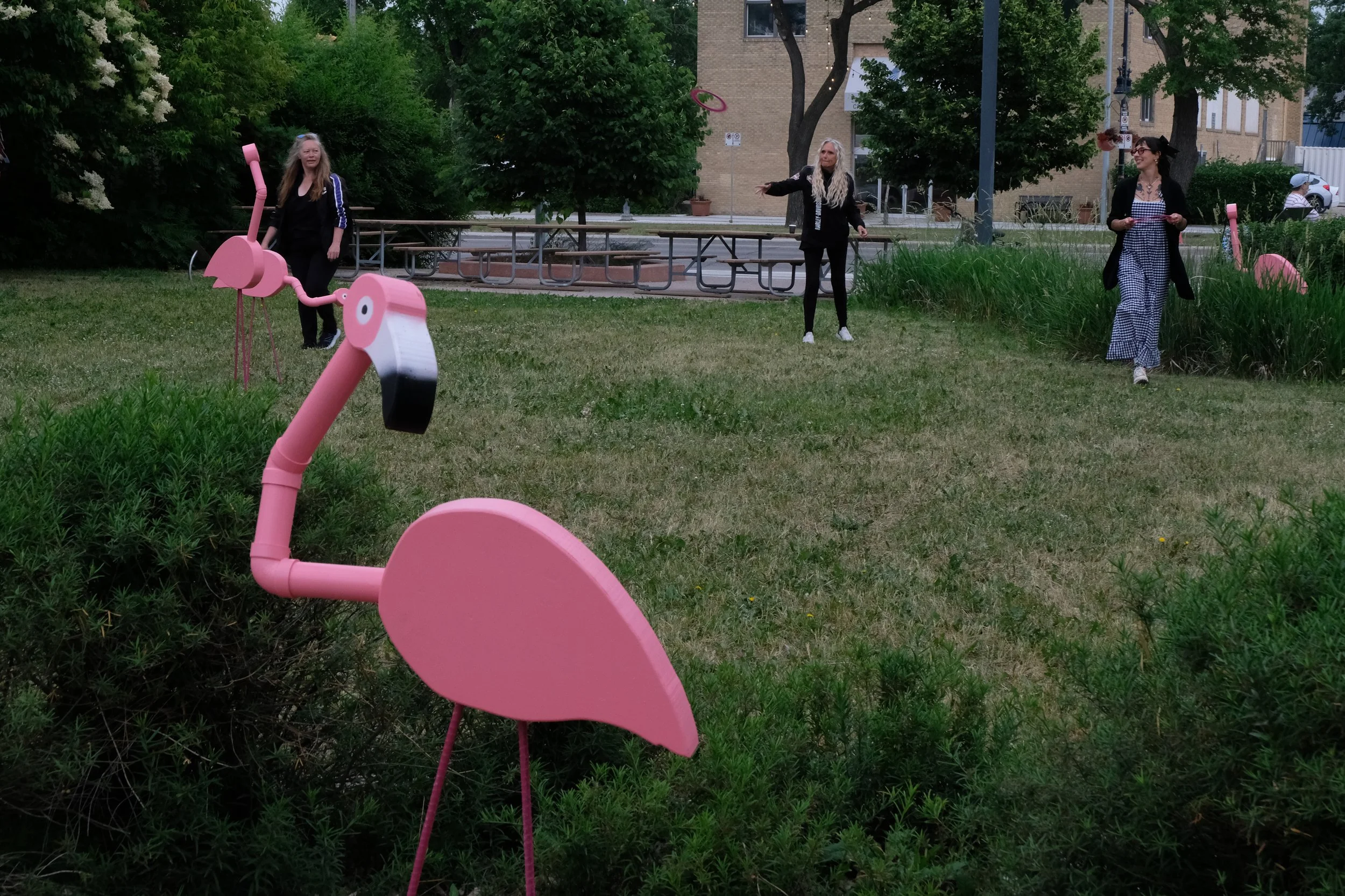 DSCF9507.JPG