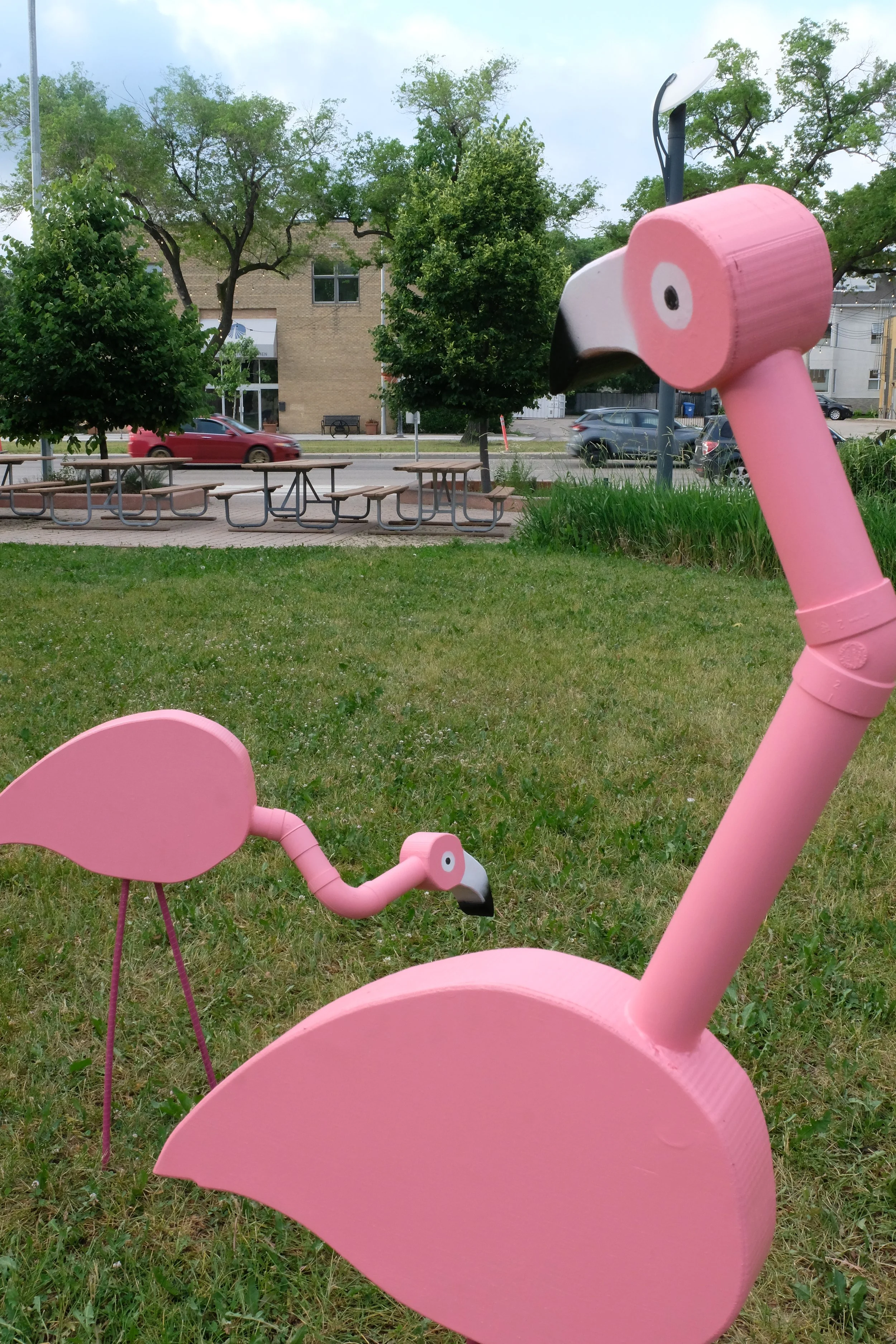 DSCF9583.JPG