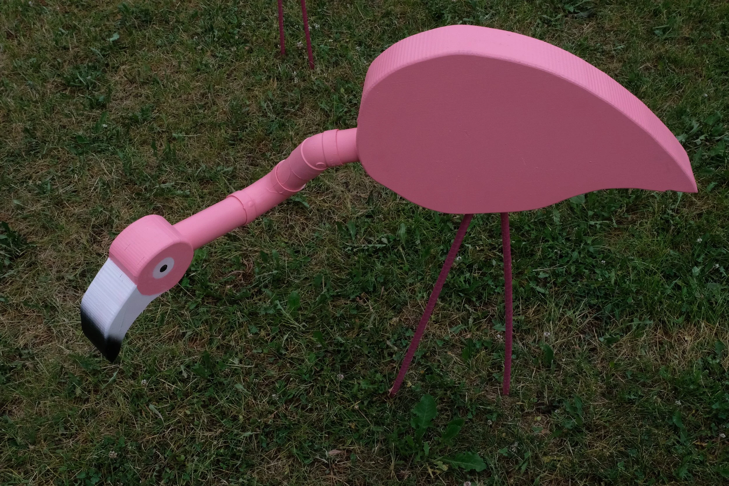 DSCF9576.JPG