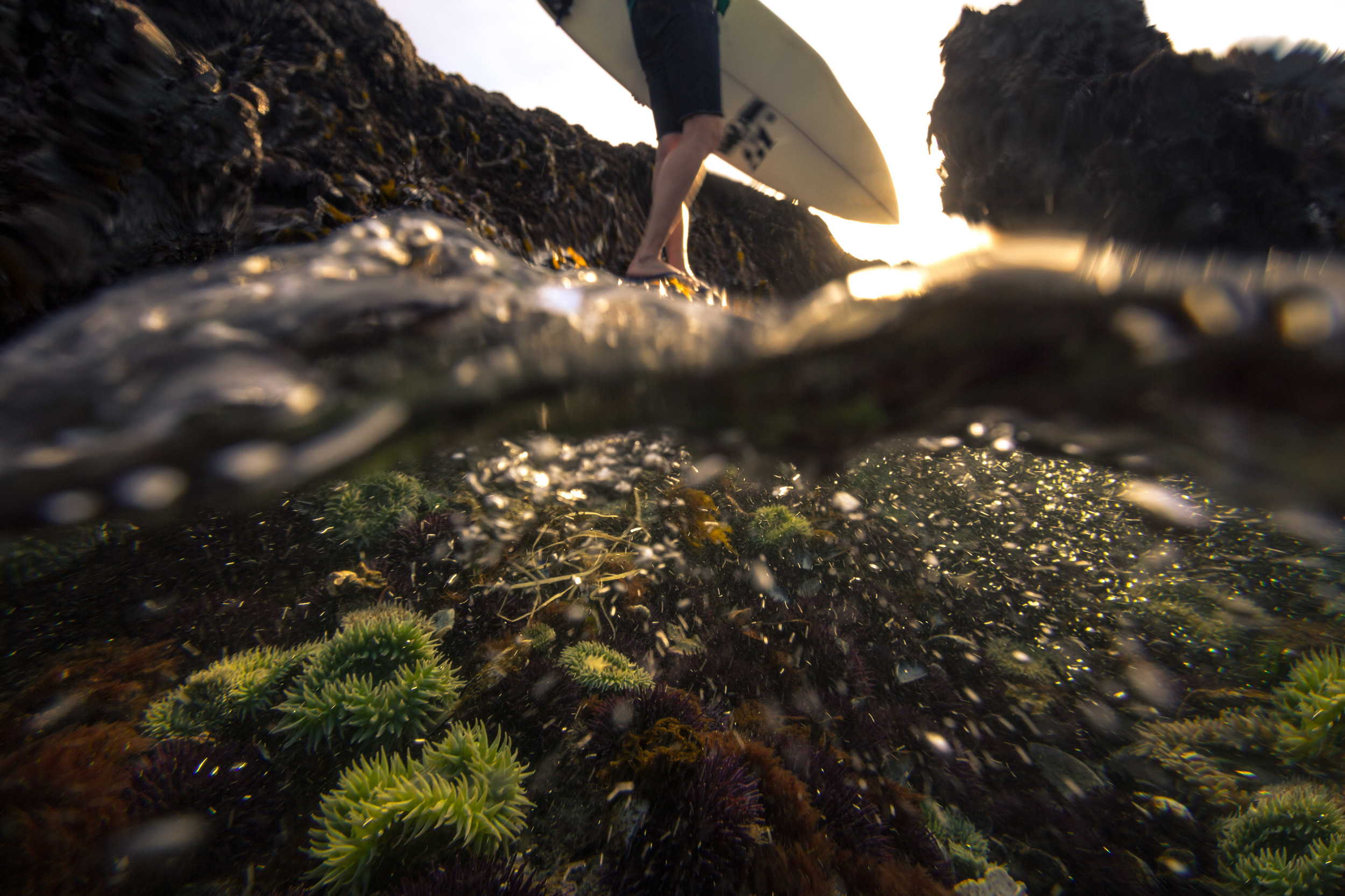 surf — journal — Ben Haggar Photography
