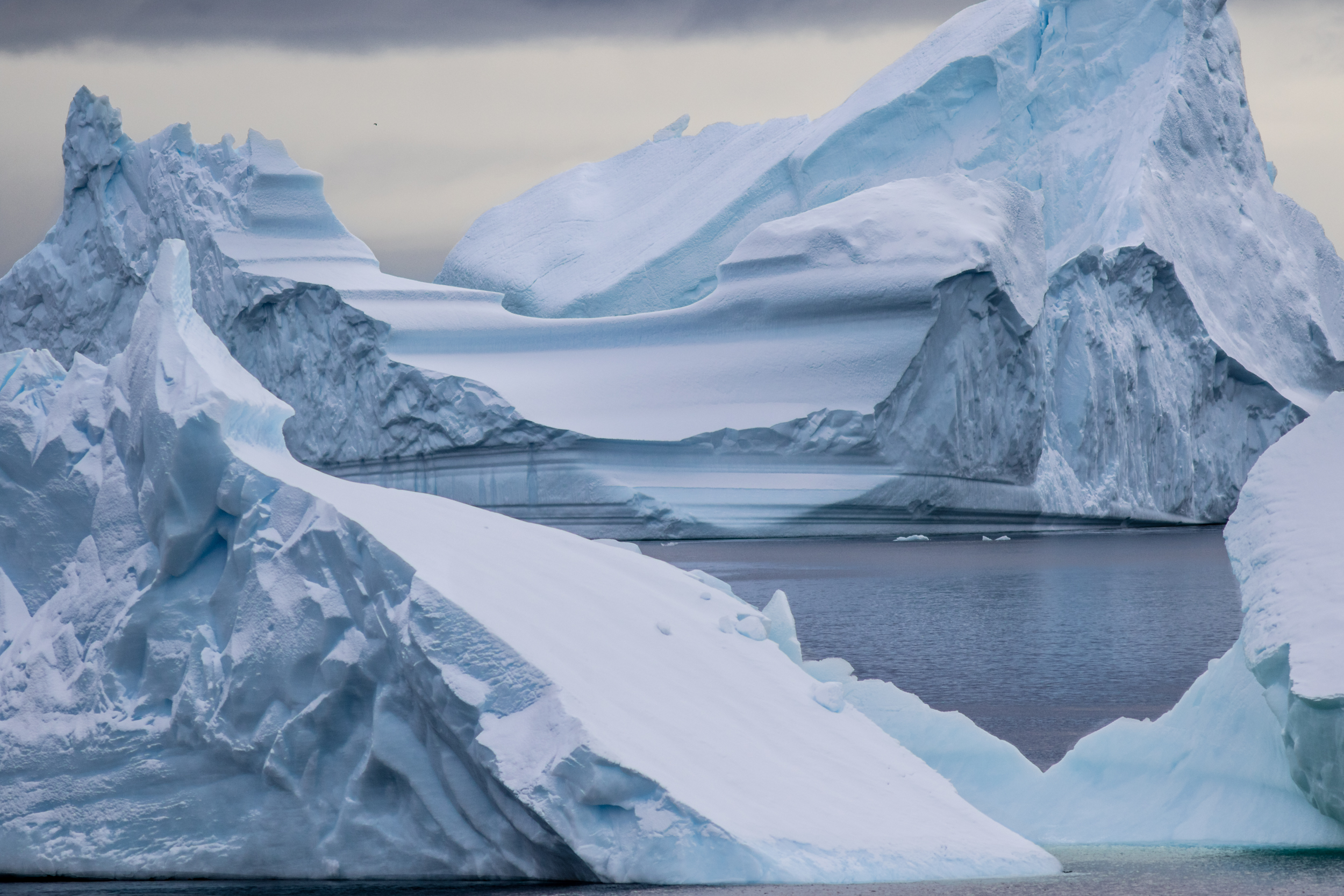  Icebergs, Penola Strait. Antarctica 