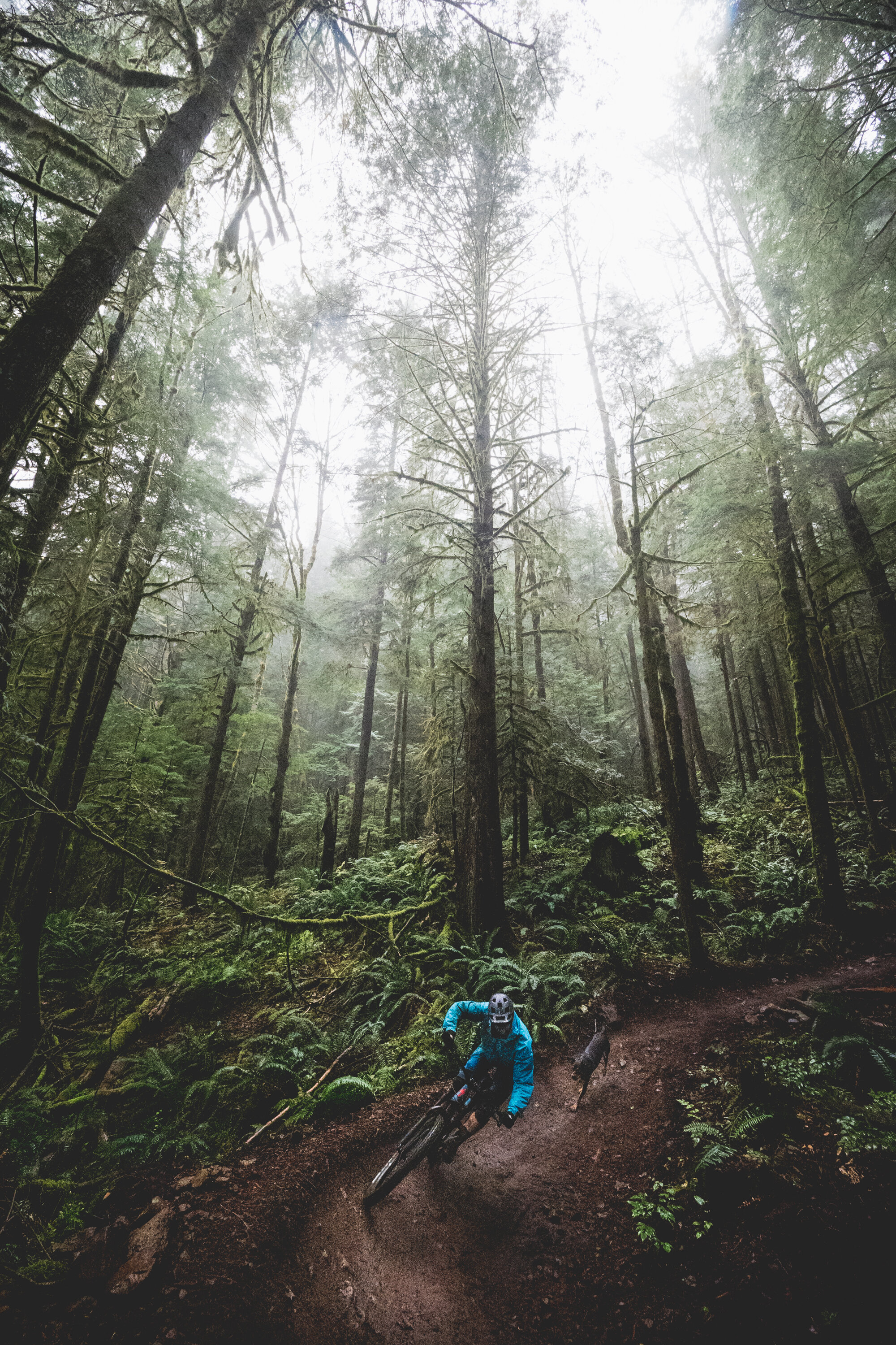  Mike, Squamish, BC. Canada 