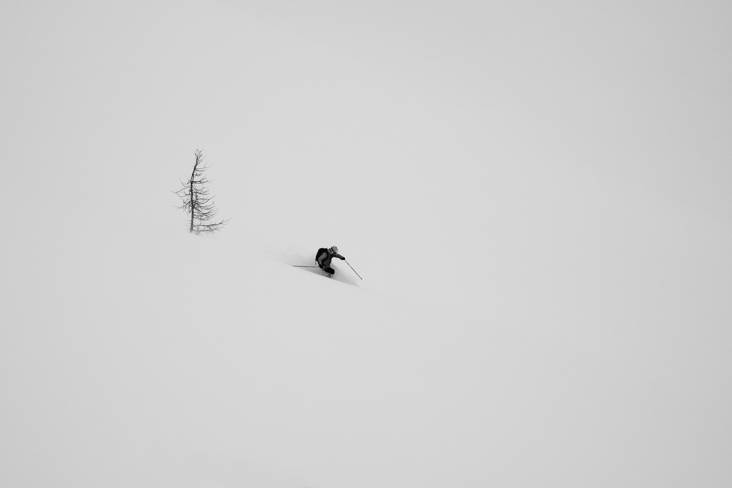  Dan, Kokanee, BC. Canada 