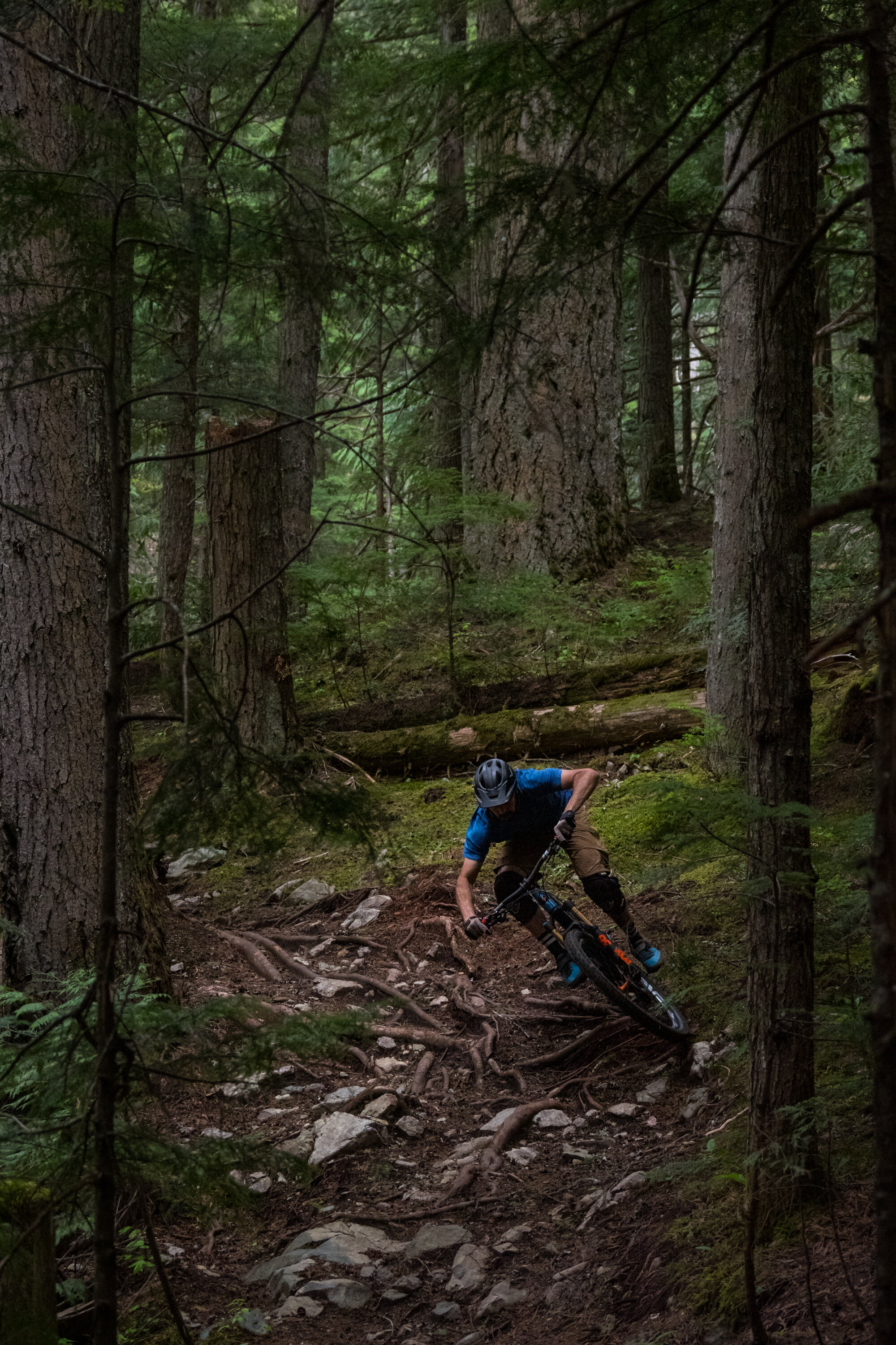  Dylan, Whistler, BC. Canada 