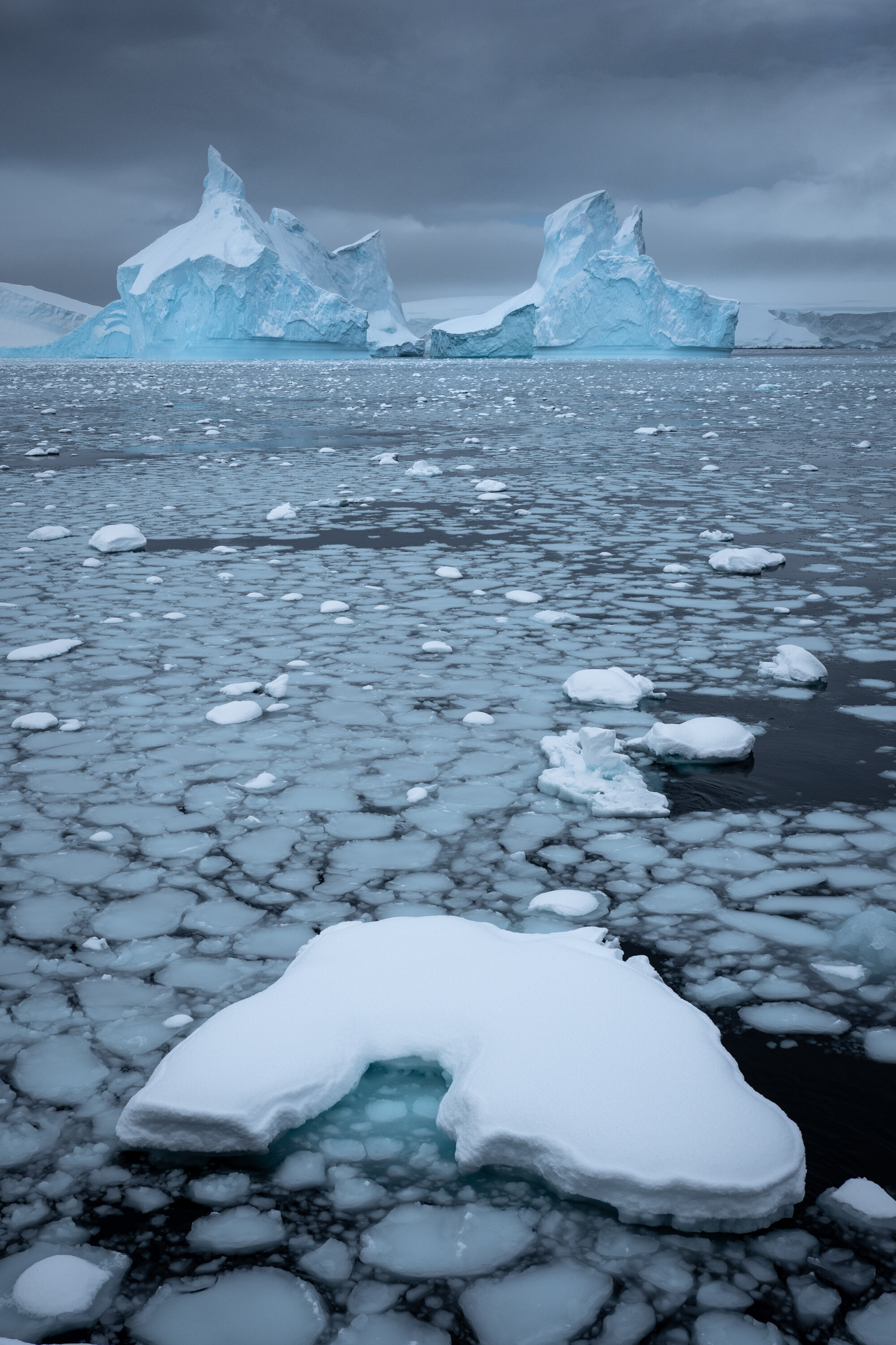  Ice, Melchior Islands. Antarctica 