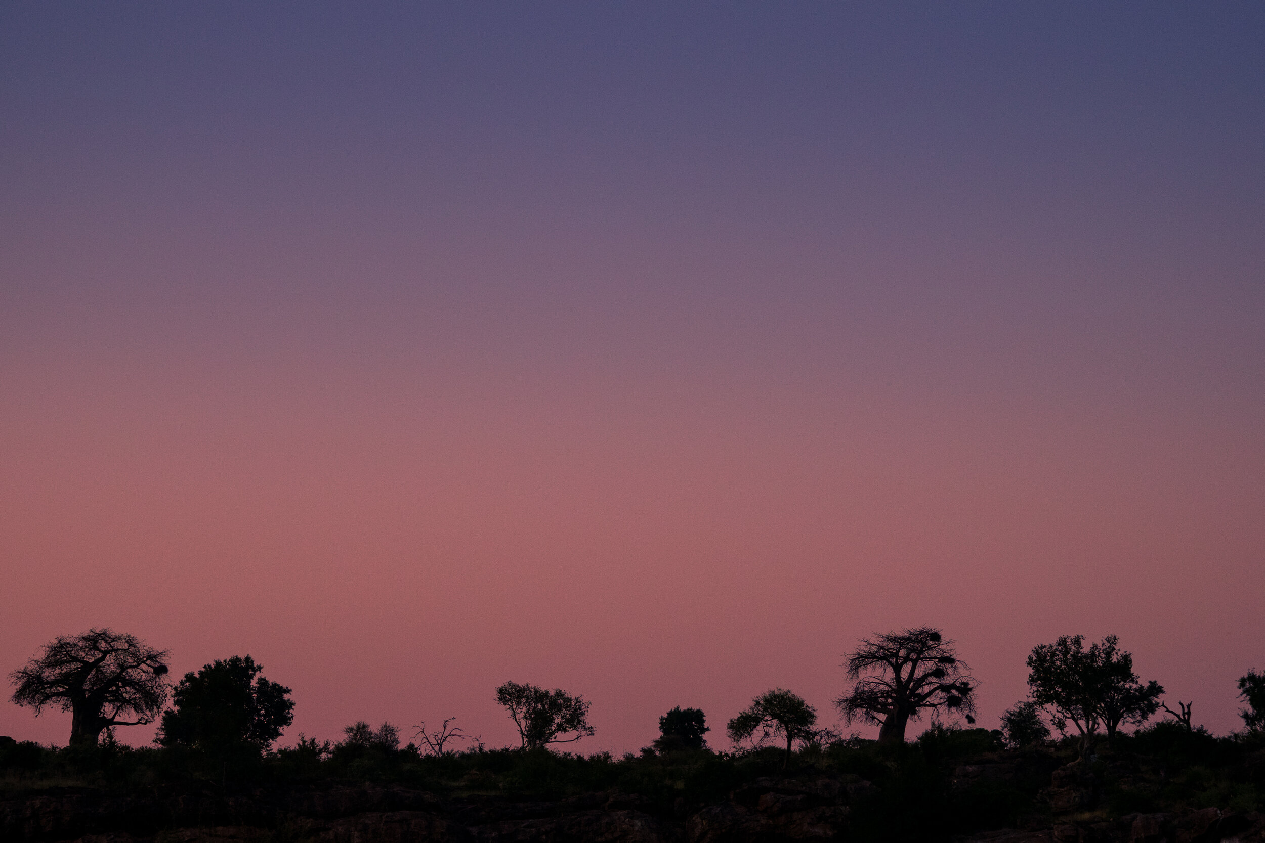  Sunrise, Mashatu Reserve. Botswana 