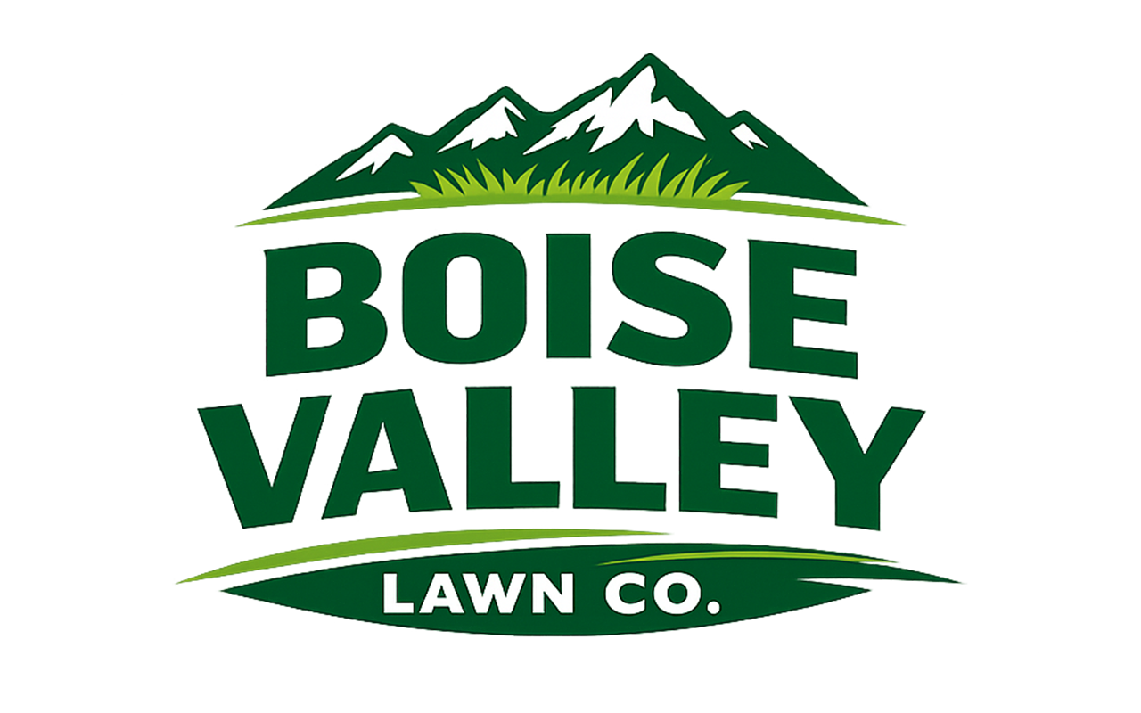 logo idea tight.png