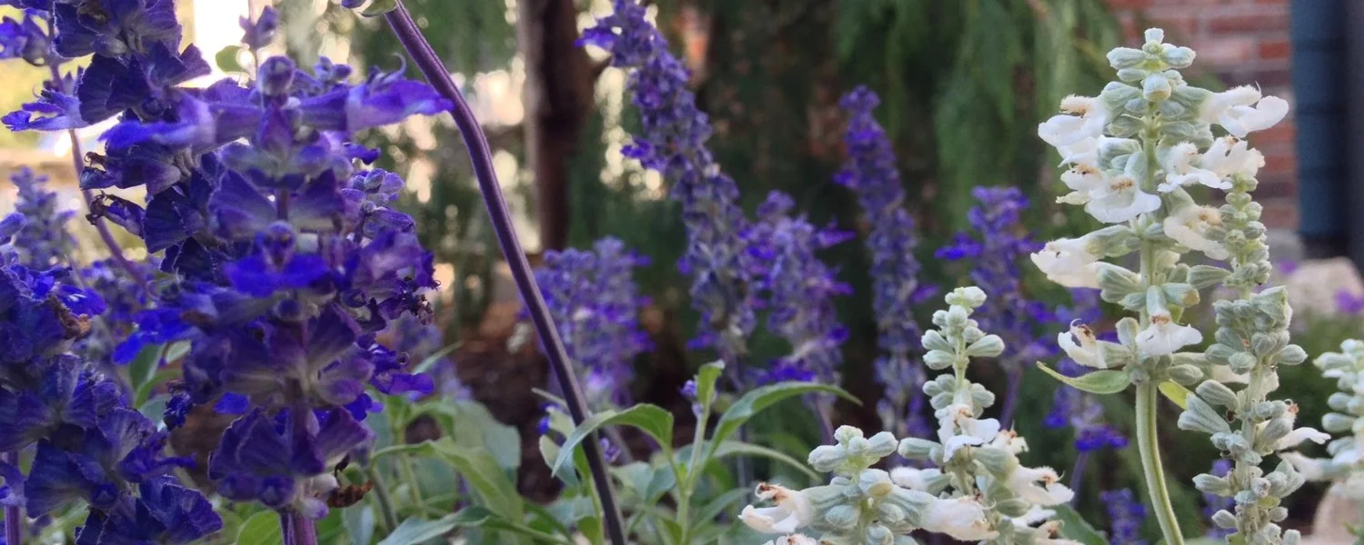 Landscape Design Stow MA