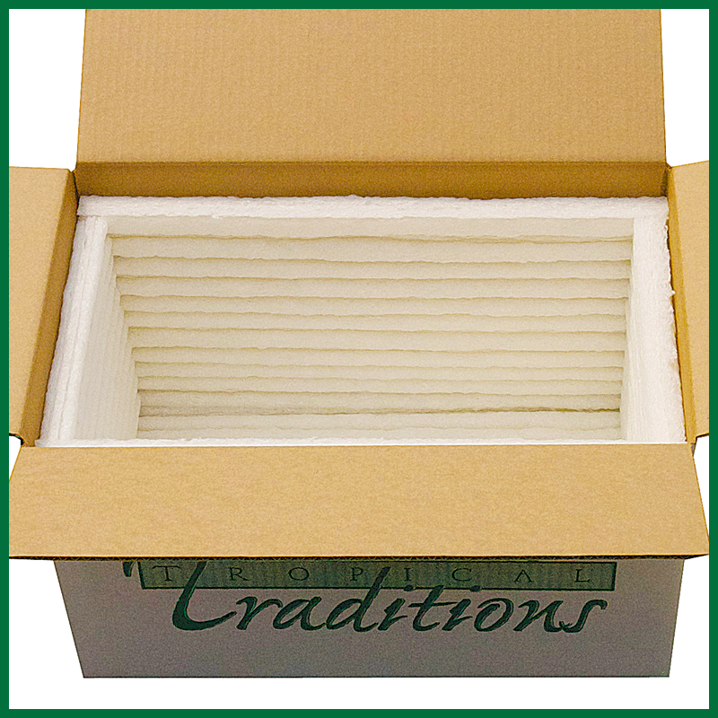 Standard 6-Panel Cooler from Green Cell Foam