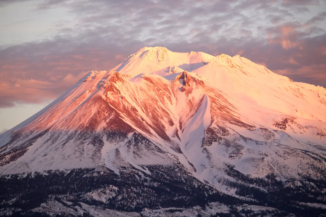 Shasta at Sunset_Prem.jpg
