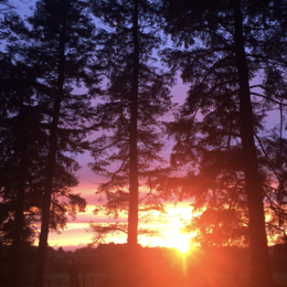 A typical sunset