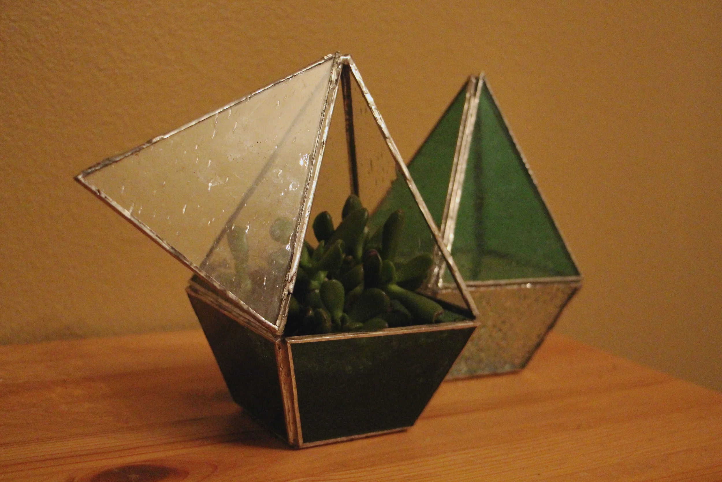  Stained Glass Terrarium 