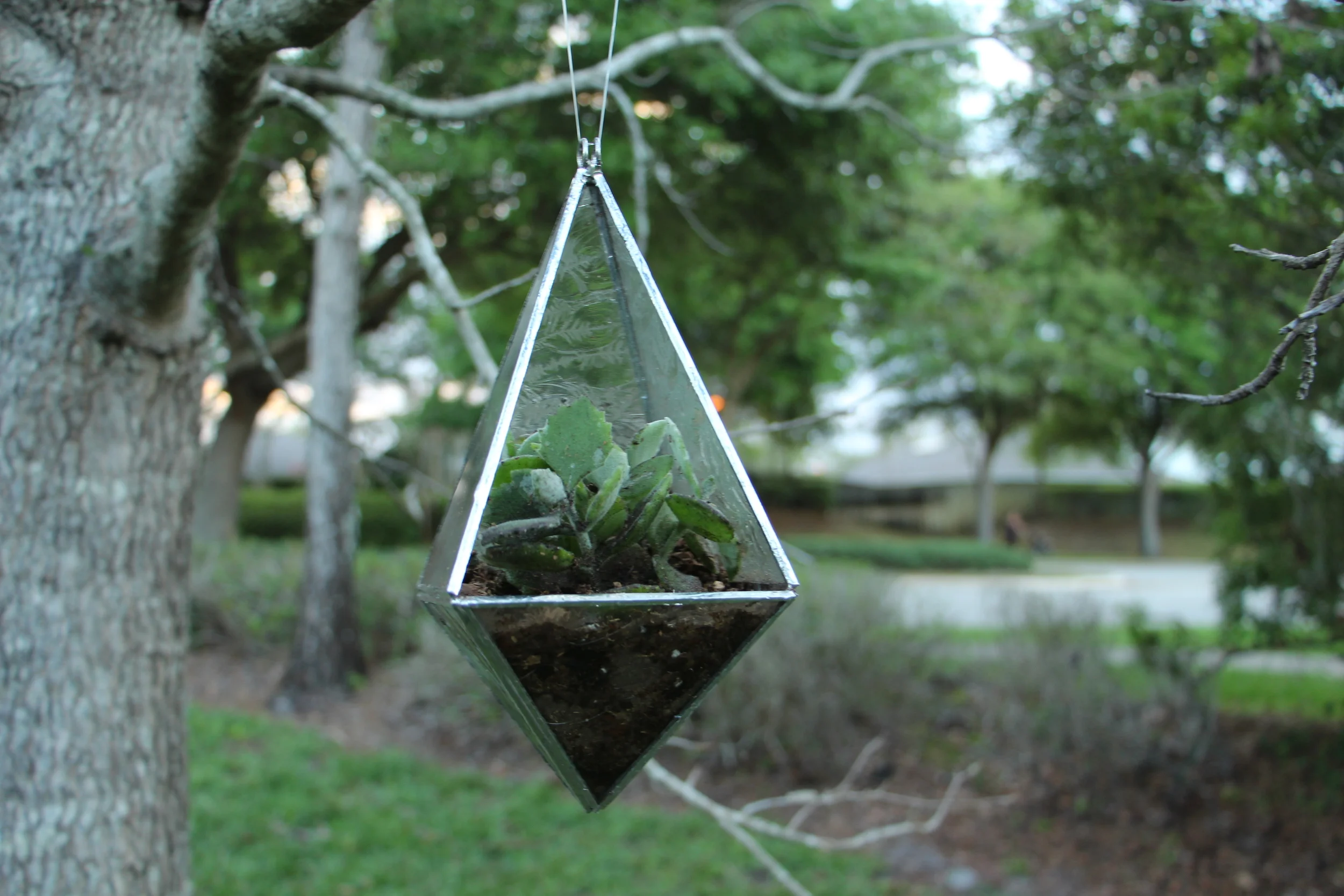  Stained Glass Terrarium 