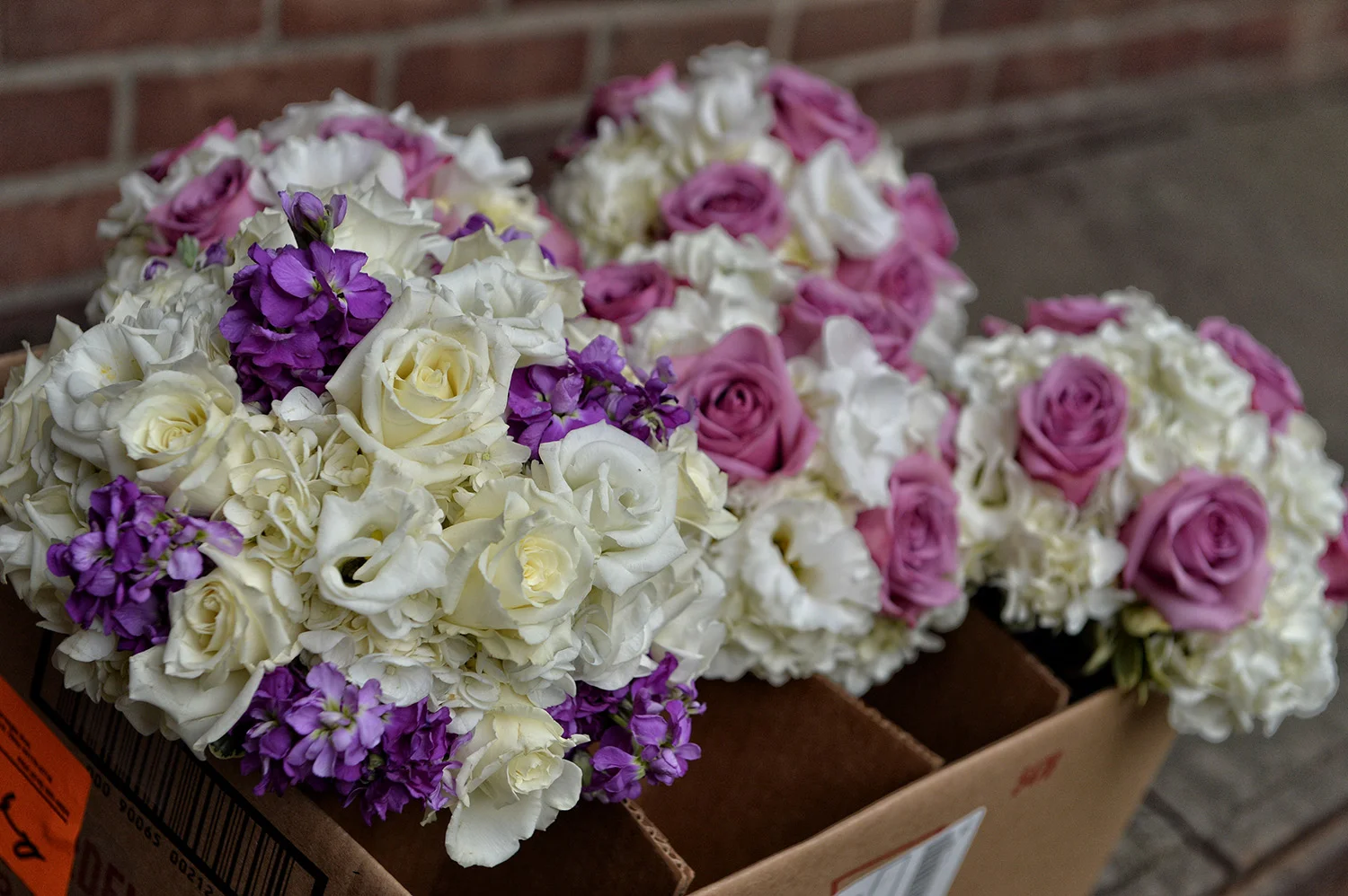 wedding 101715 0308fx1s.jpg