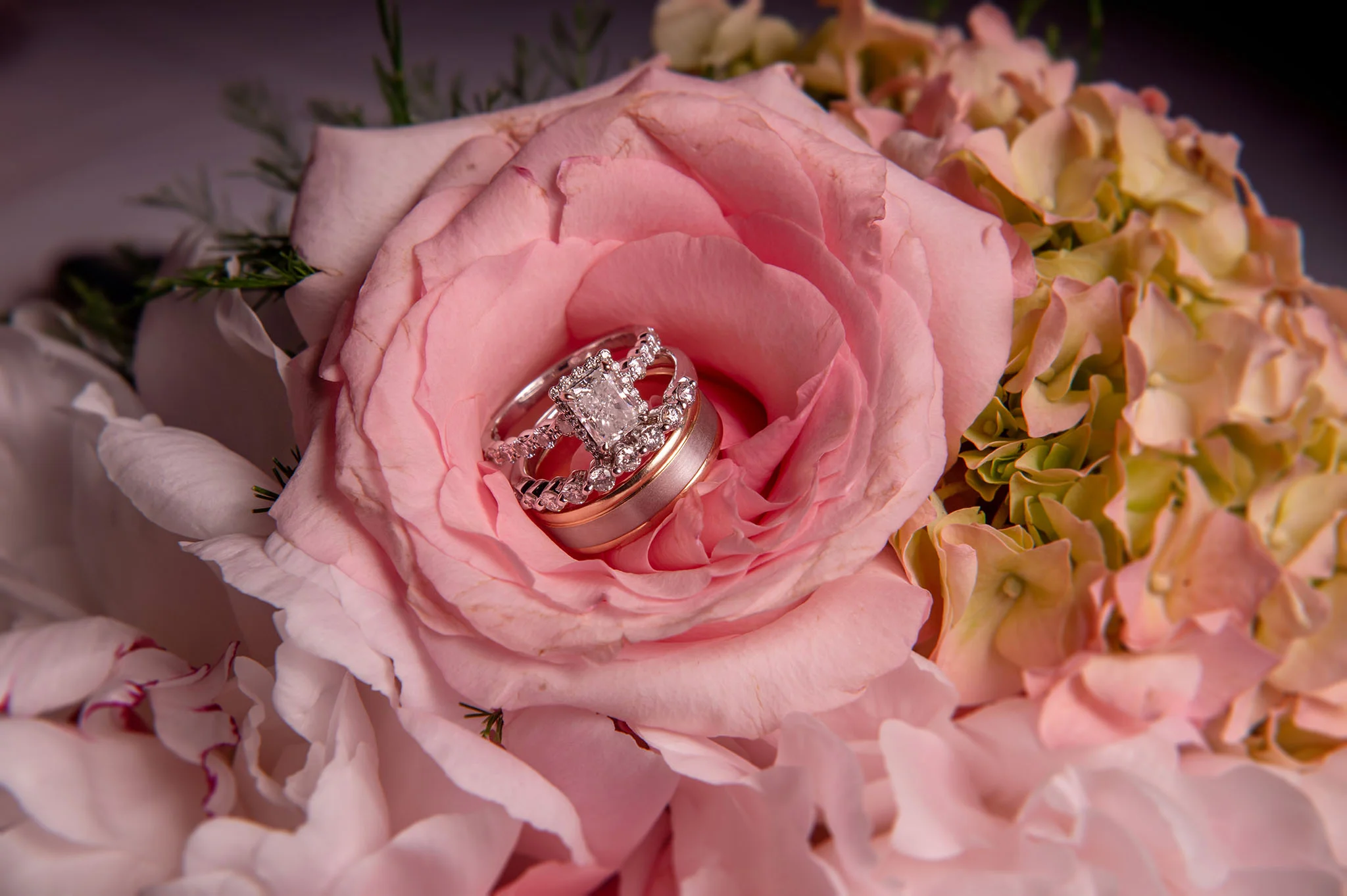 Wedding 5-12-2018-2335fx1 www.jpg