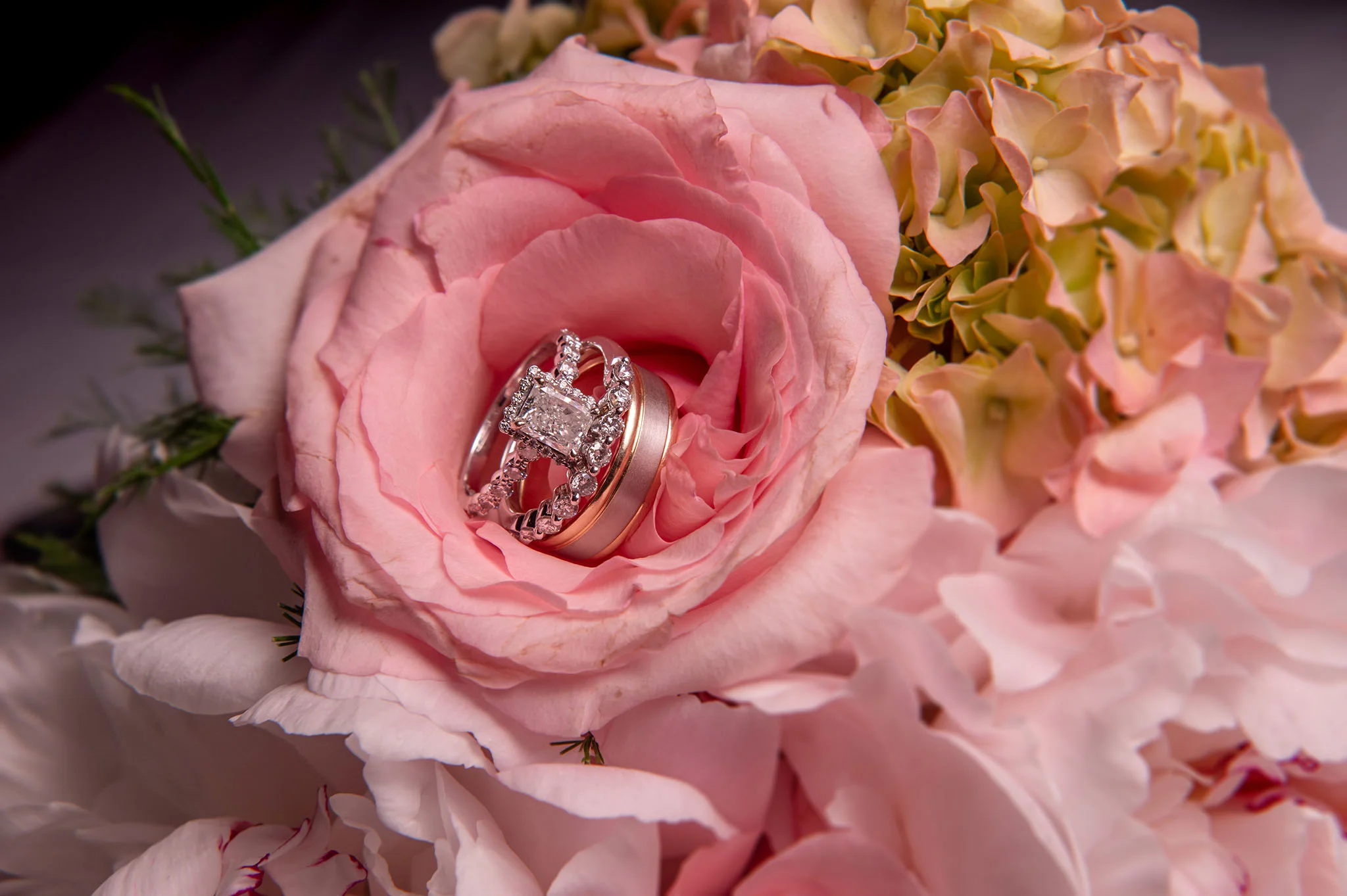 Wedding 5-12-2018-2338fx1 www.jpg