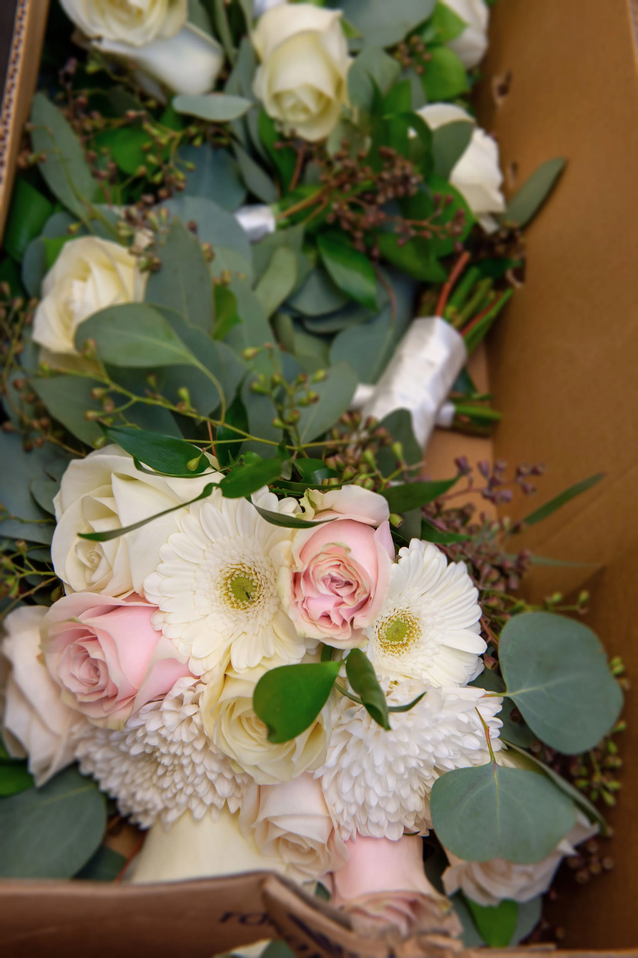 Wedding 5-25-2018-25fx1 www.jpg