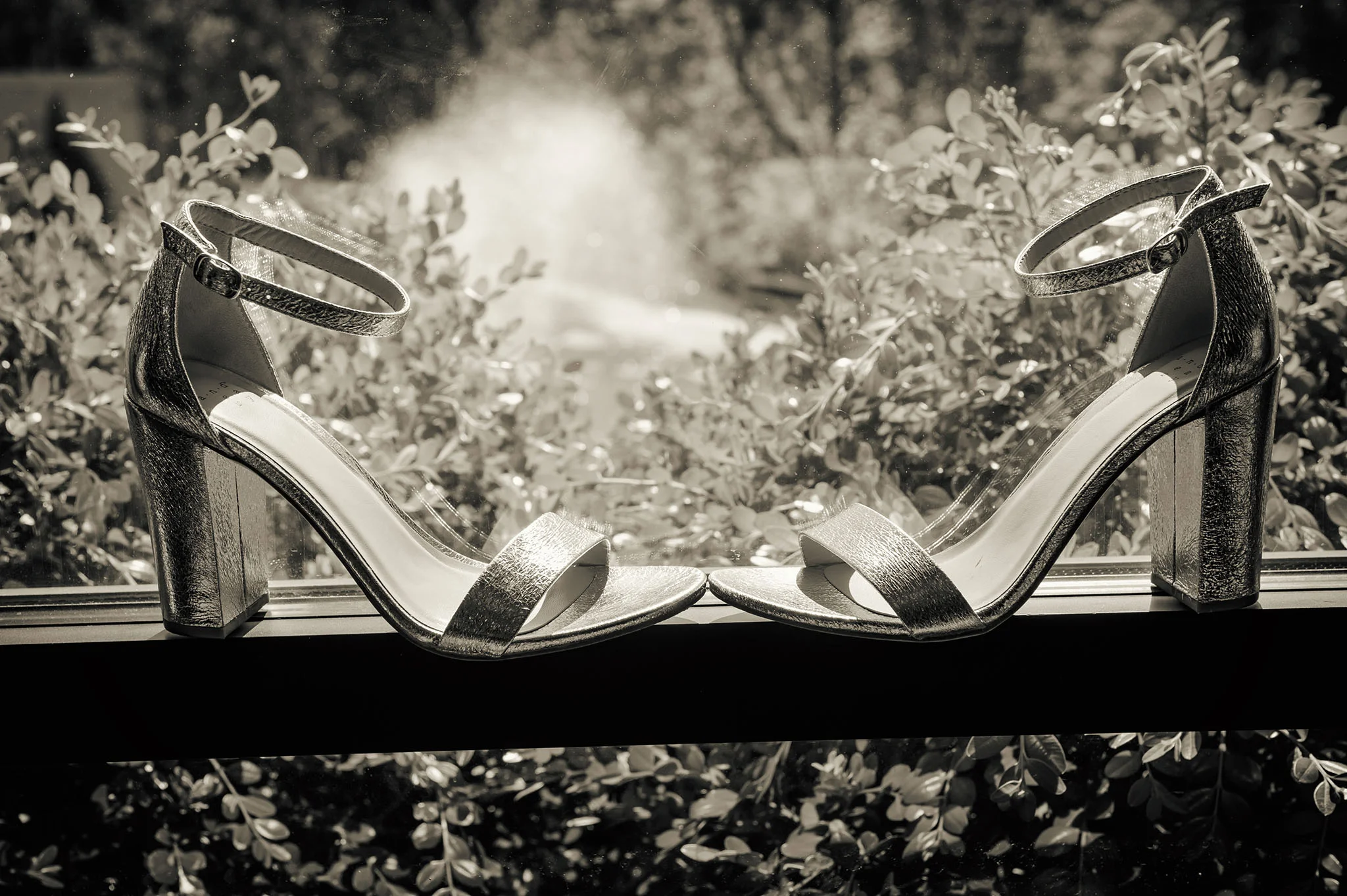 Wedding 5-25-2018-64fx1 www.jpg