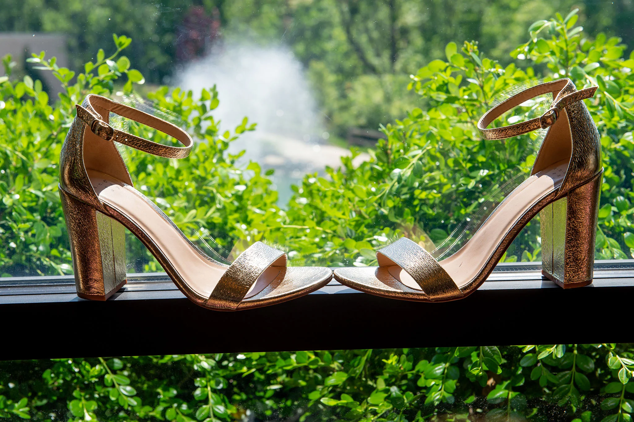 Wedding 5-25-2018-64 www.jpg