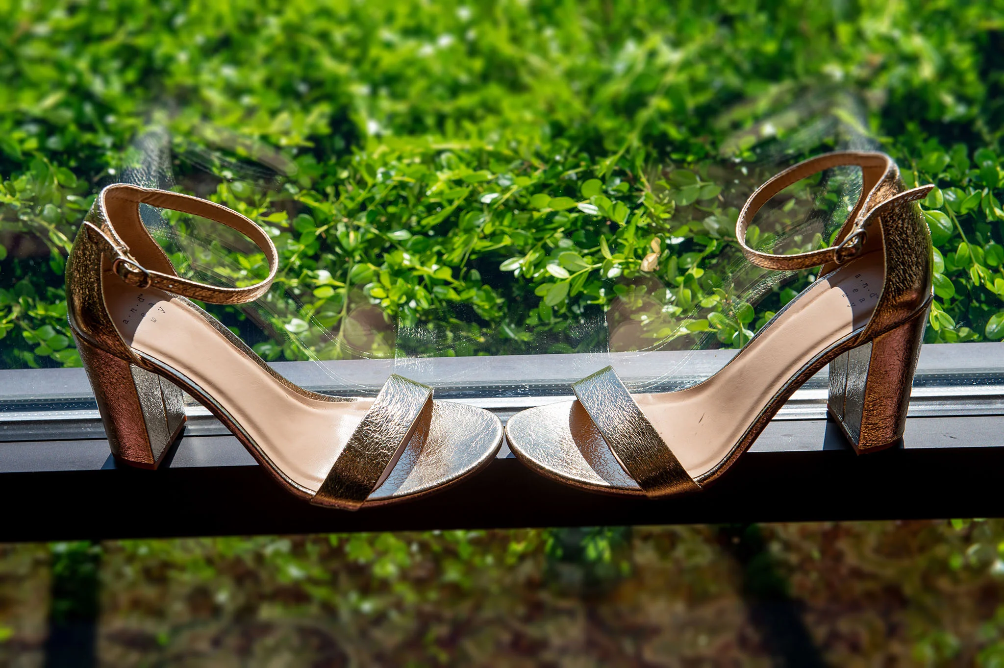 Wedding 5-25-2018-66fx1 www.jpg