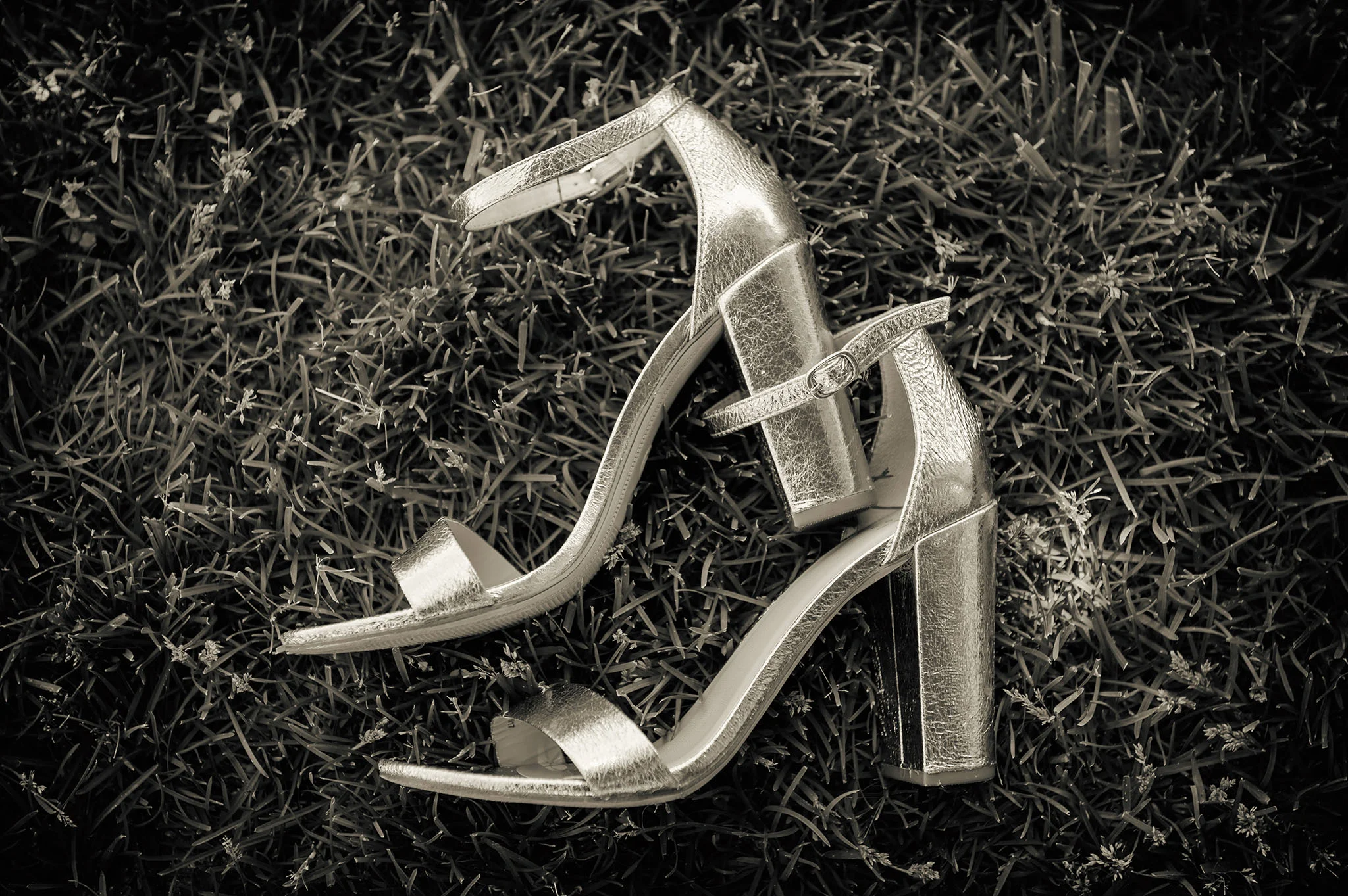 Wedding 5-25-2018-76fx1 www.jpg