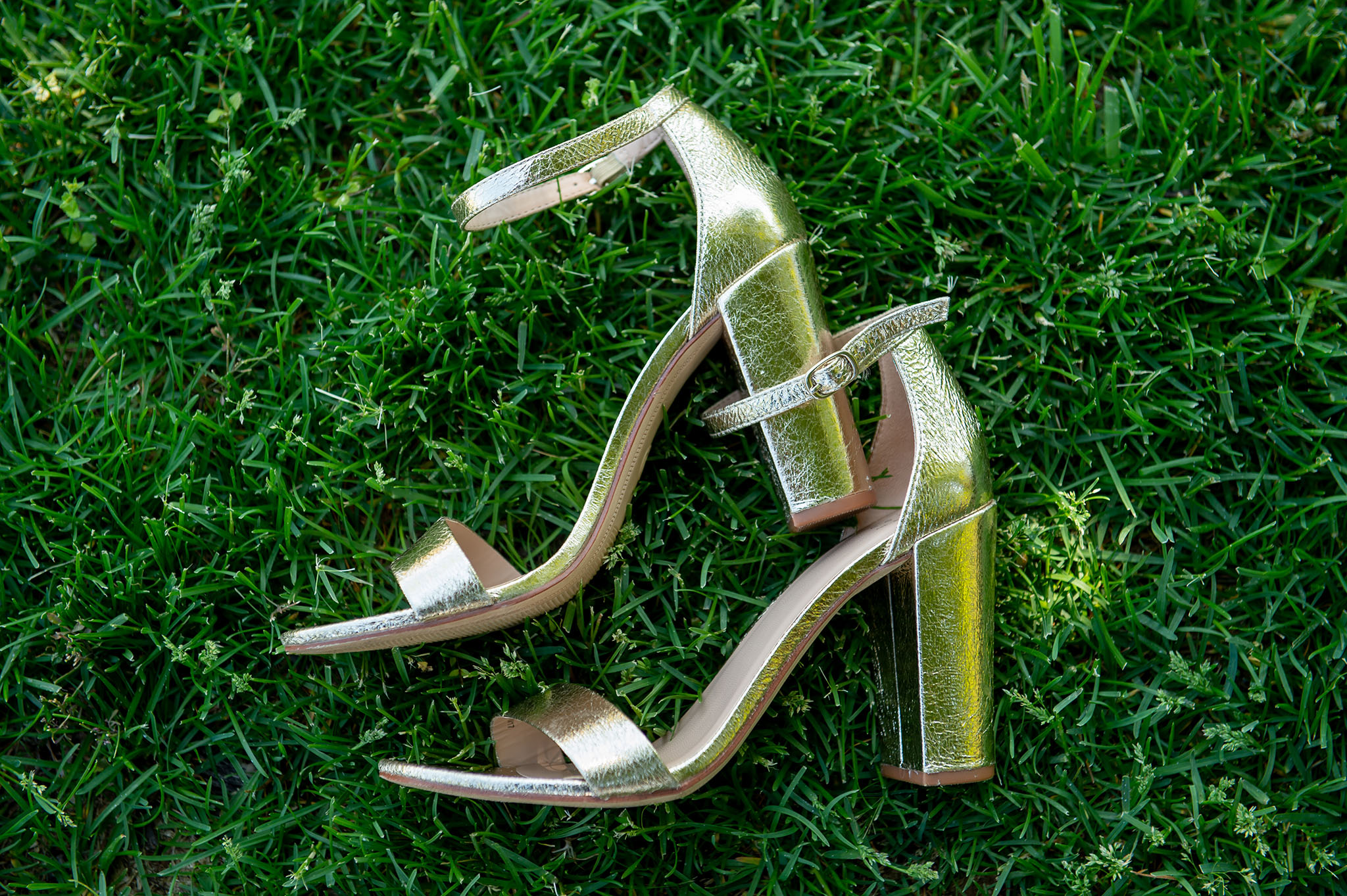 Wedding 5-25-2018-76 www.jpg