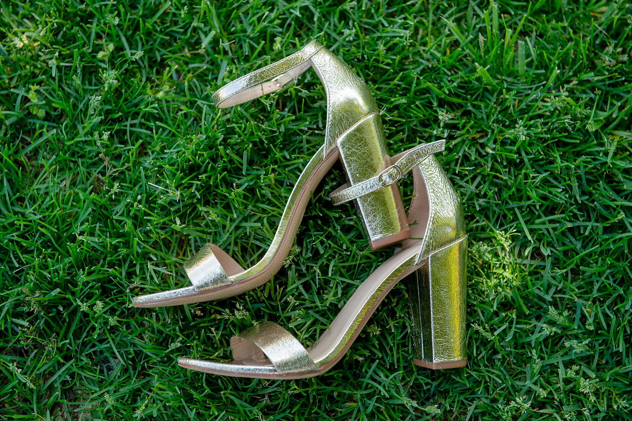 Wedding 5-25-2018-76fx2 www.jpg