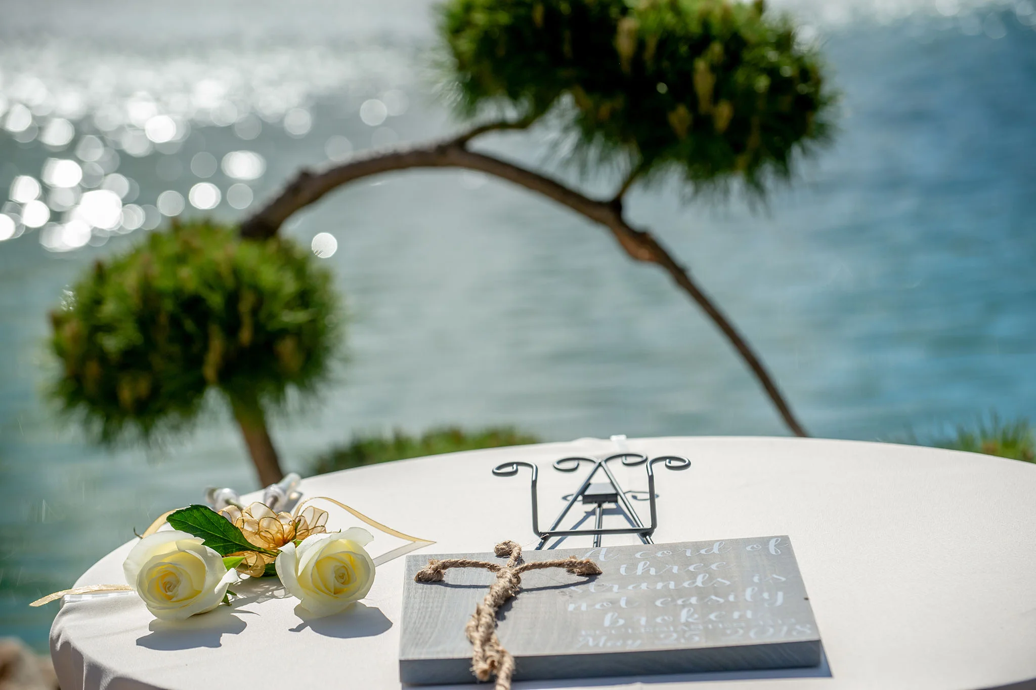 Wedding 5-25-2018-614 www.jpg