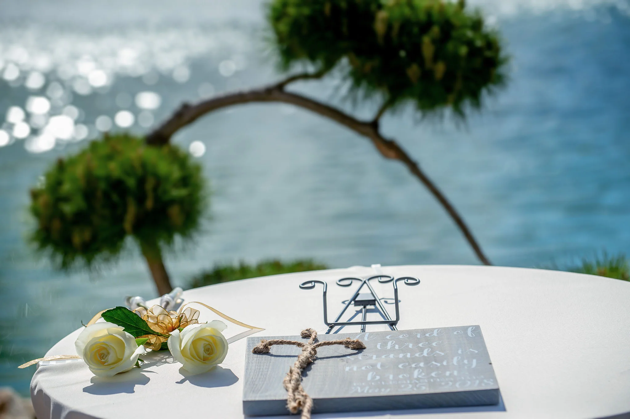 Wedding 5-25-2018-614fx1 www.jpg