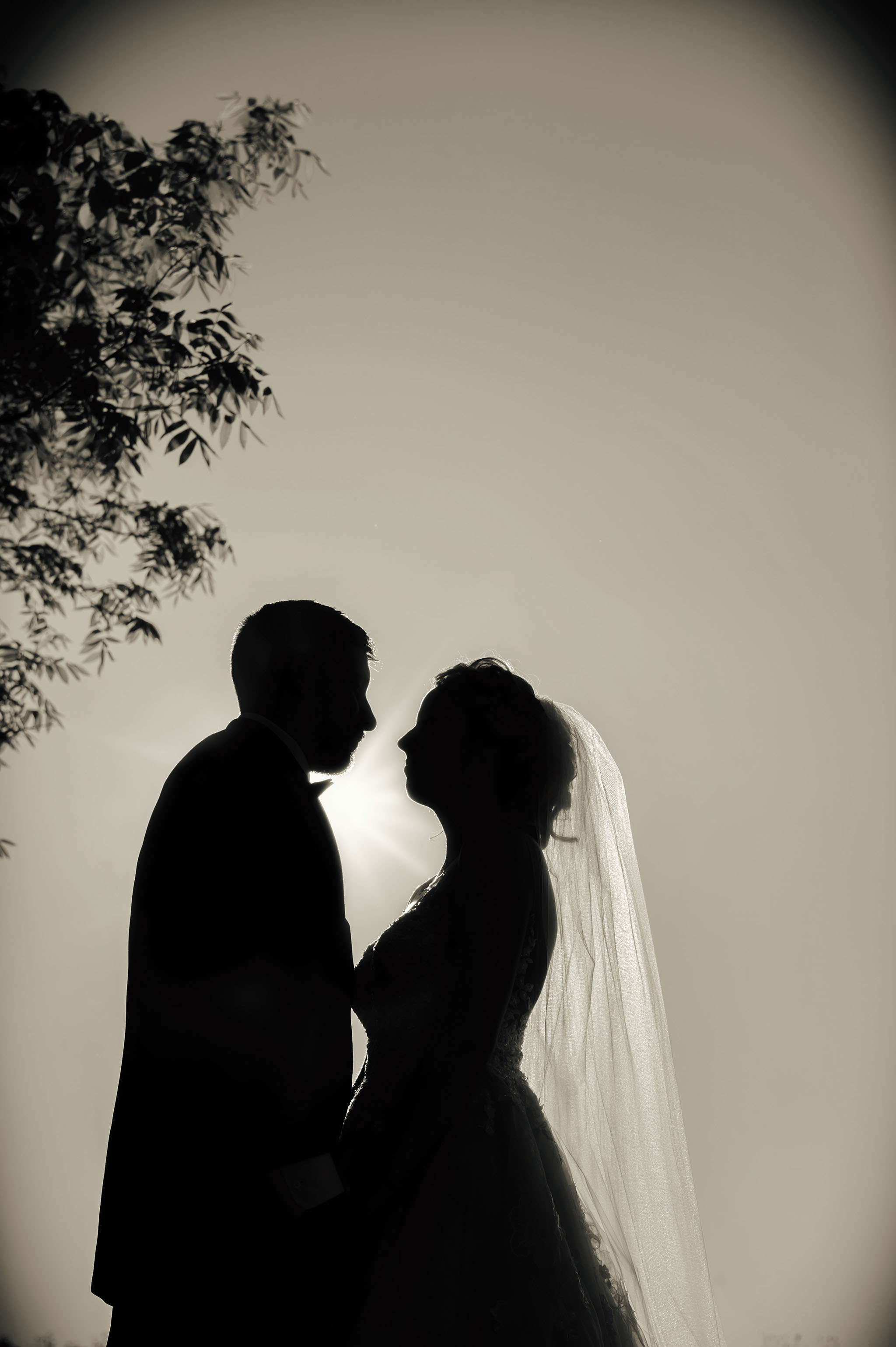 Wedding 5-25-2018-1716fx3 www.jpg