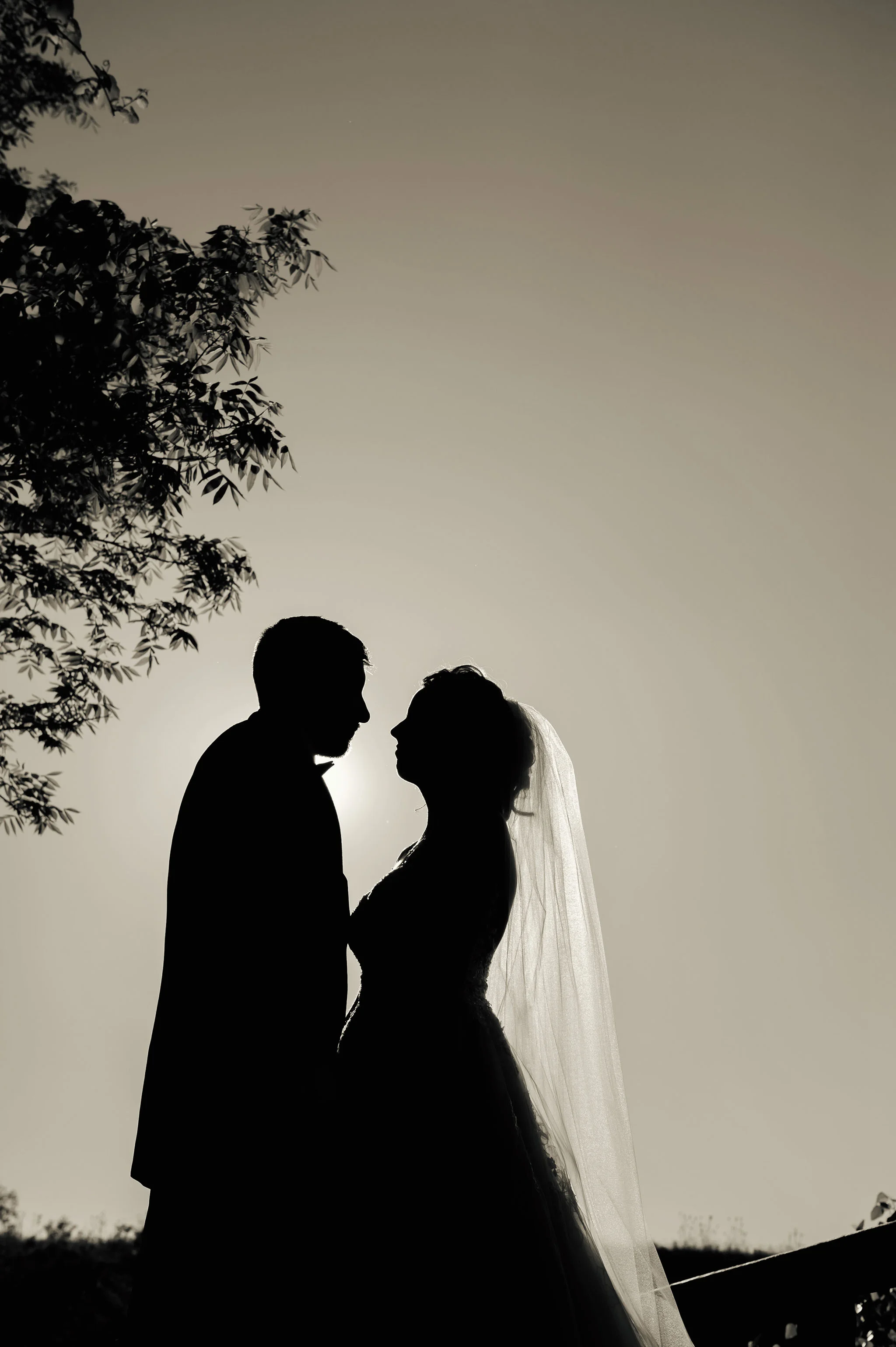 Wedding 5-25-2018-1720fx1 www.jpg