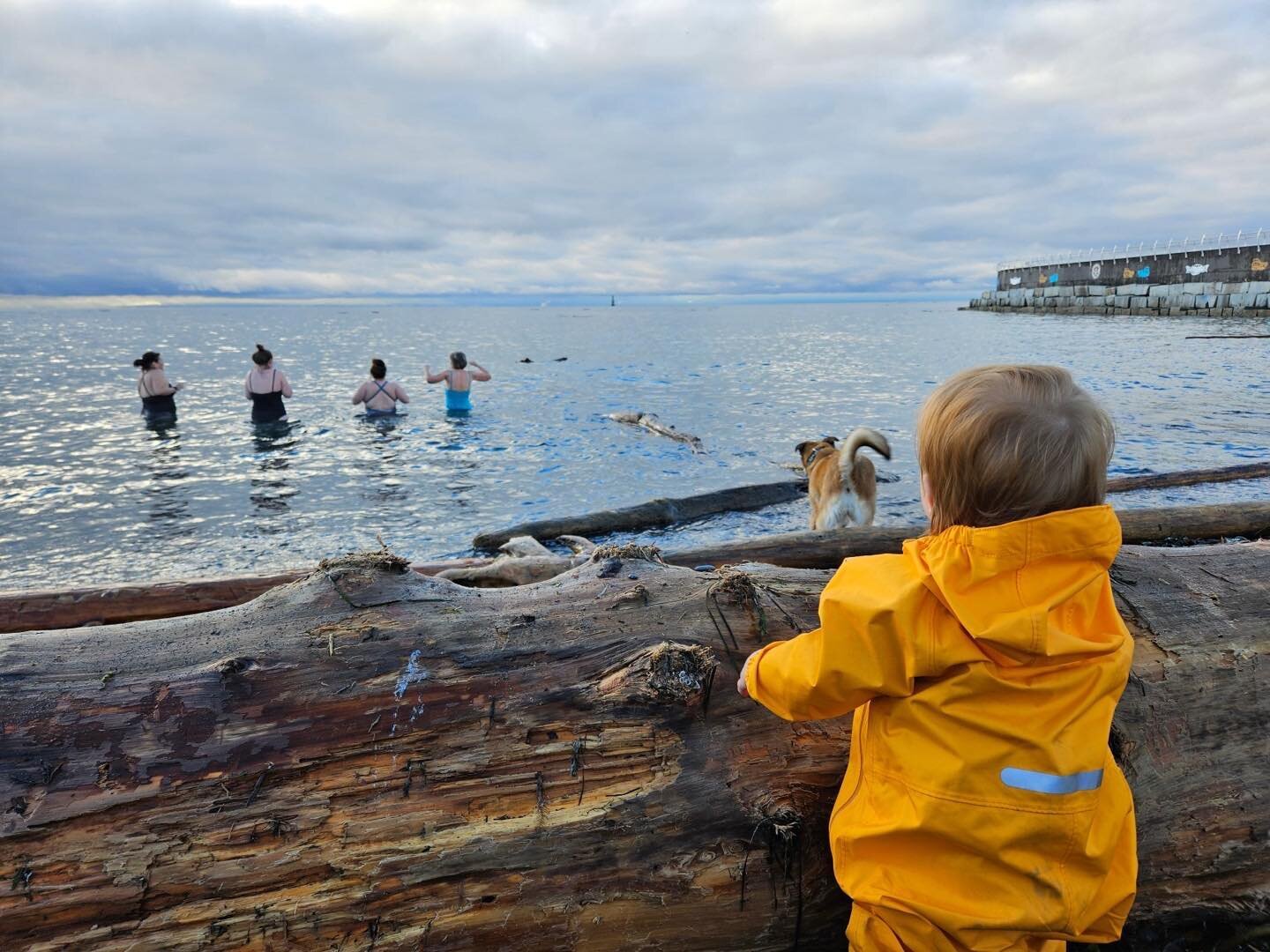 New years cold dip with bb audience. Starting the year off chilly. 🧊🏊&zwj;♀️🎉