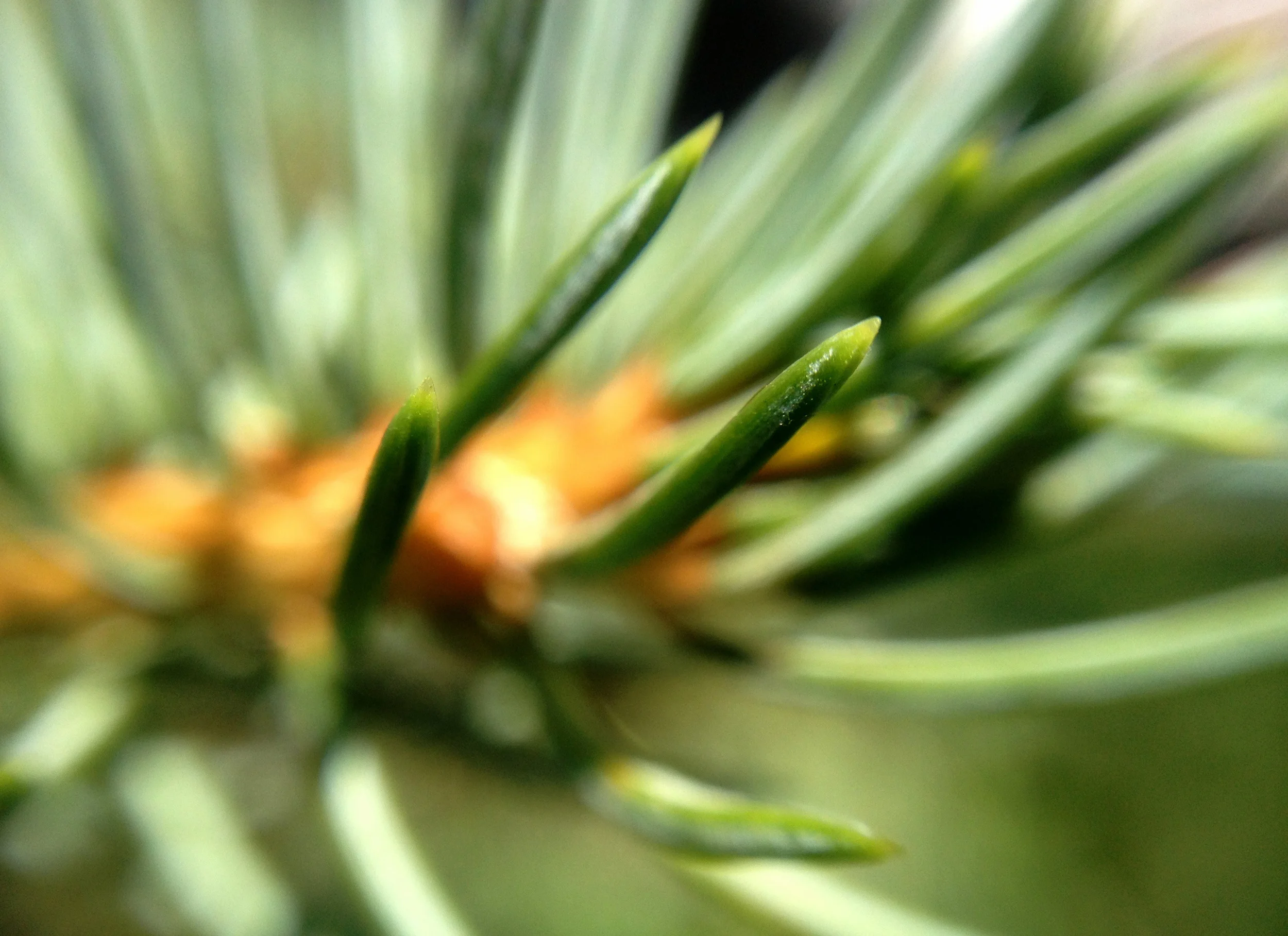 photo 3_2.JPG