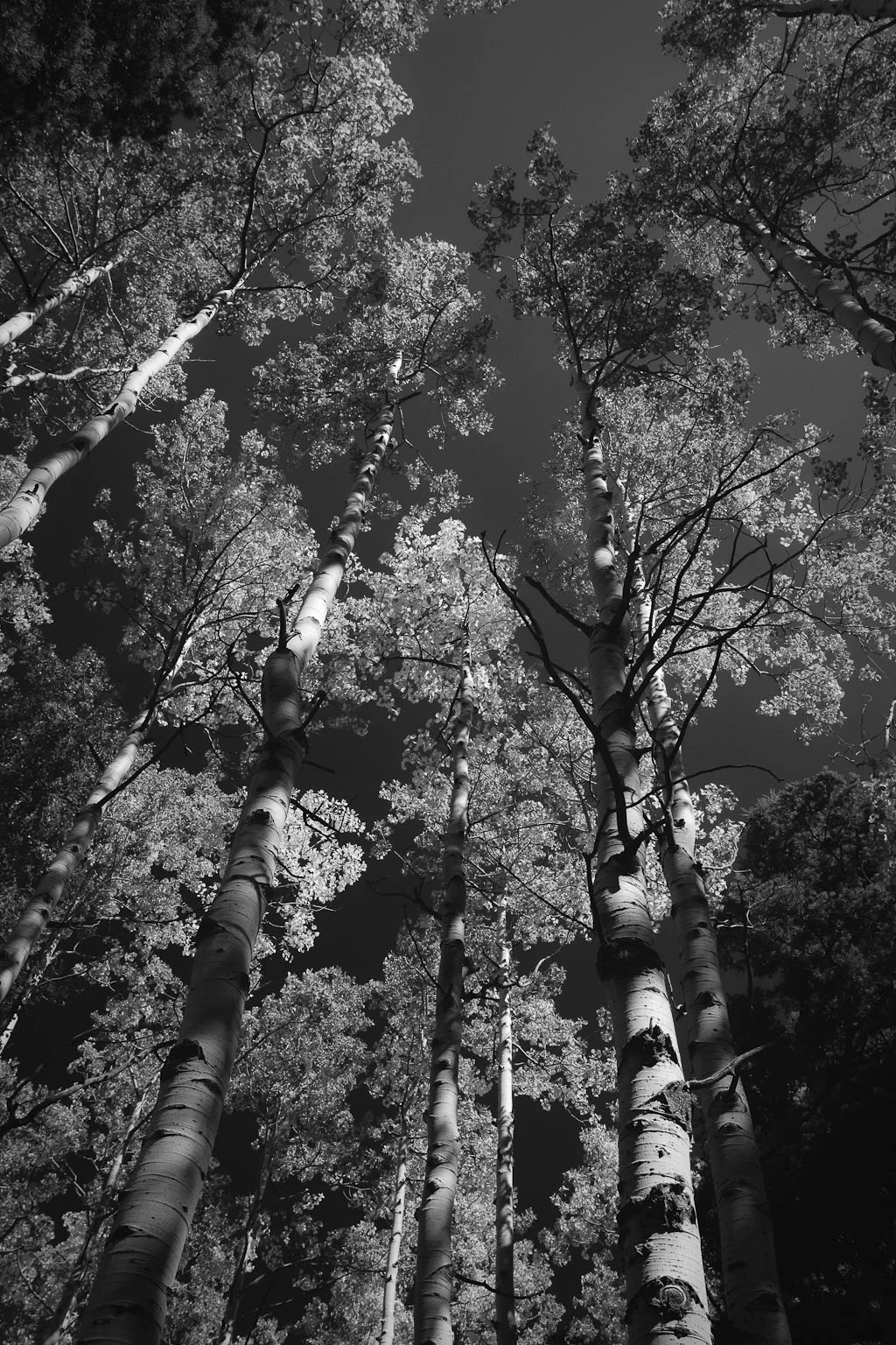 20100926_0021.jpg