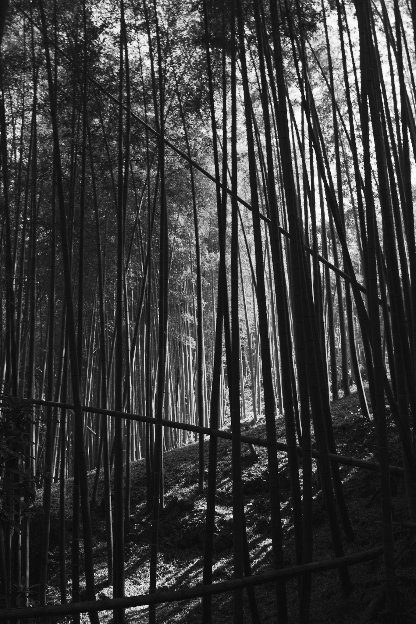 150510_0280.JPG
