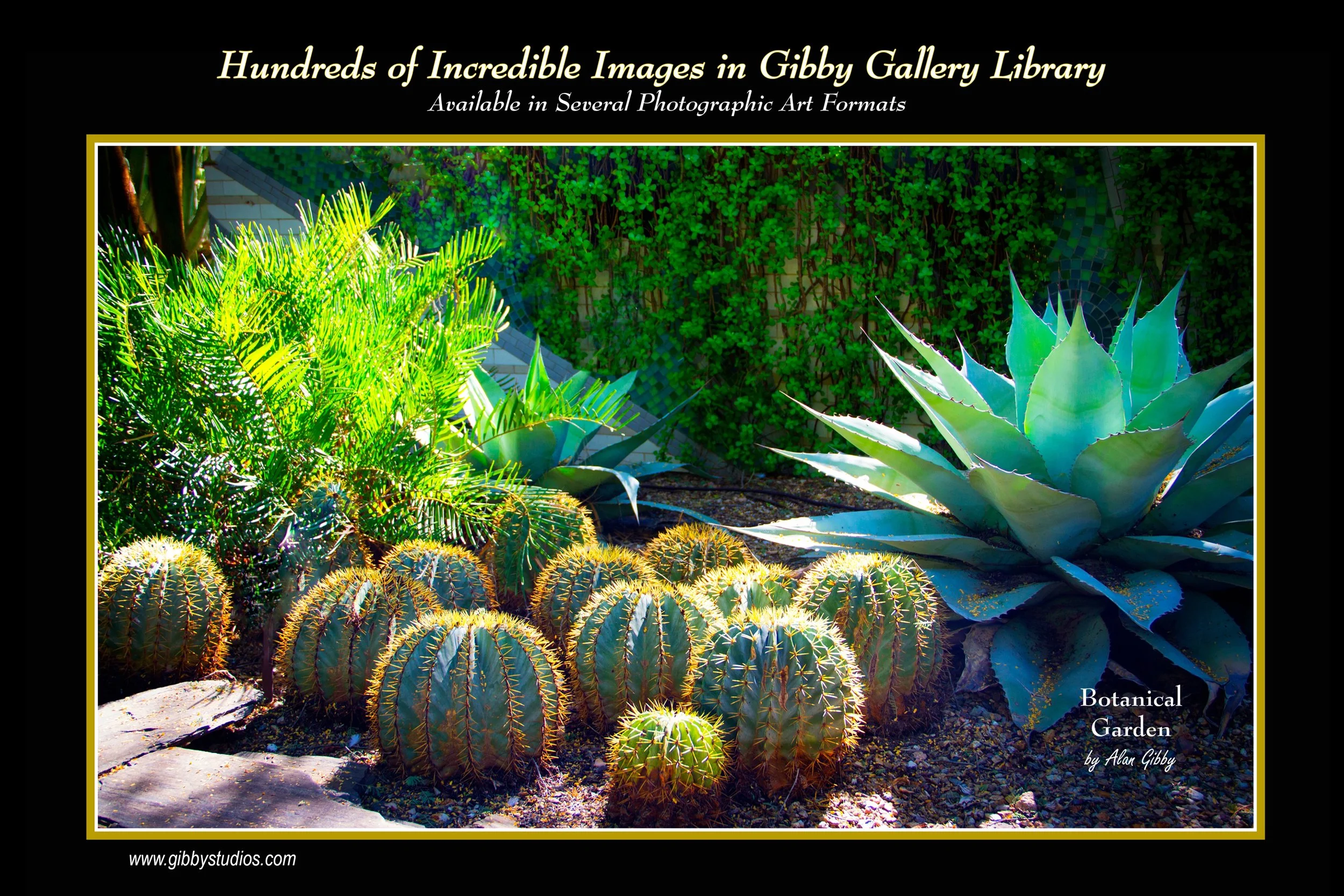 Web 2026 horizontal_0001.jpg