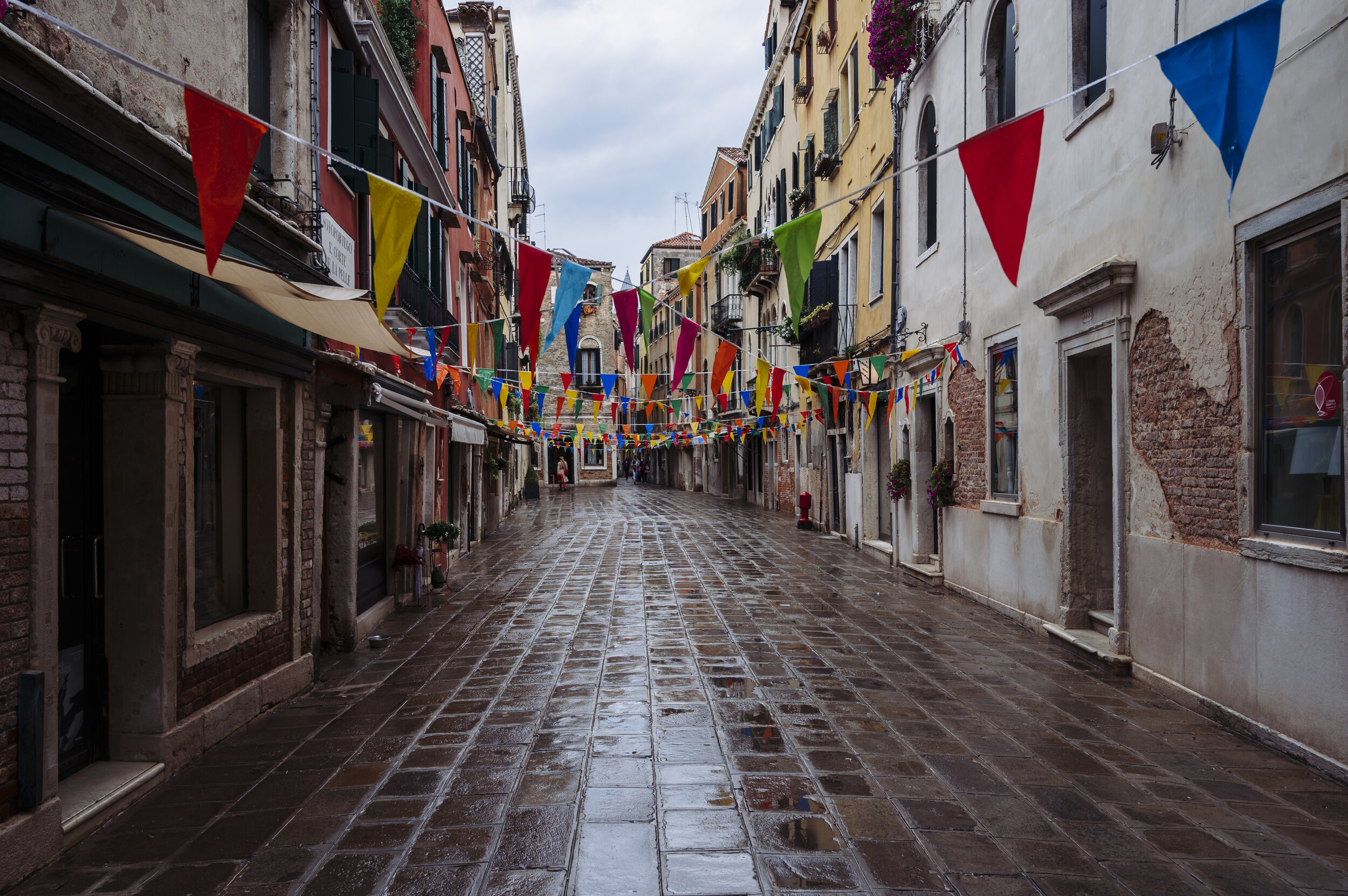 DSC_0333.jpg