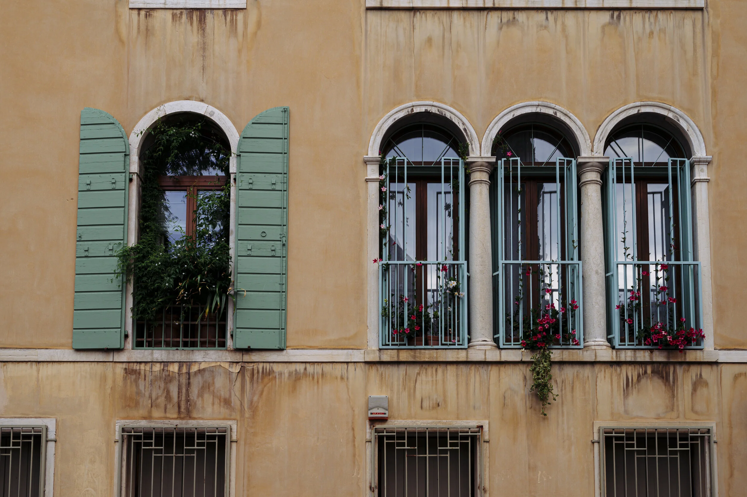 DSC_0398.jpg