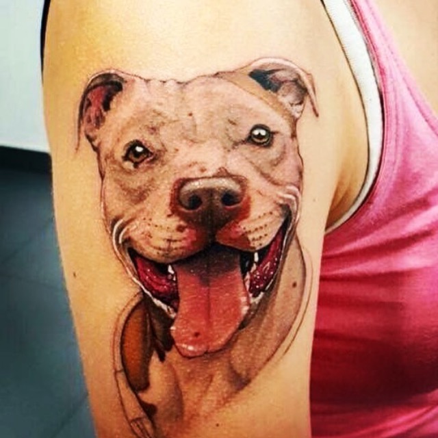 50 Awesome Pit Bull Tattoos to Inspire You — My Pit Bull Friend