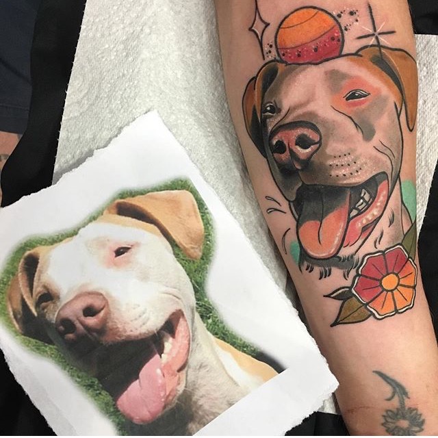 Black and Grey Pitbull Tattoo  TattooConnection