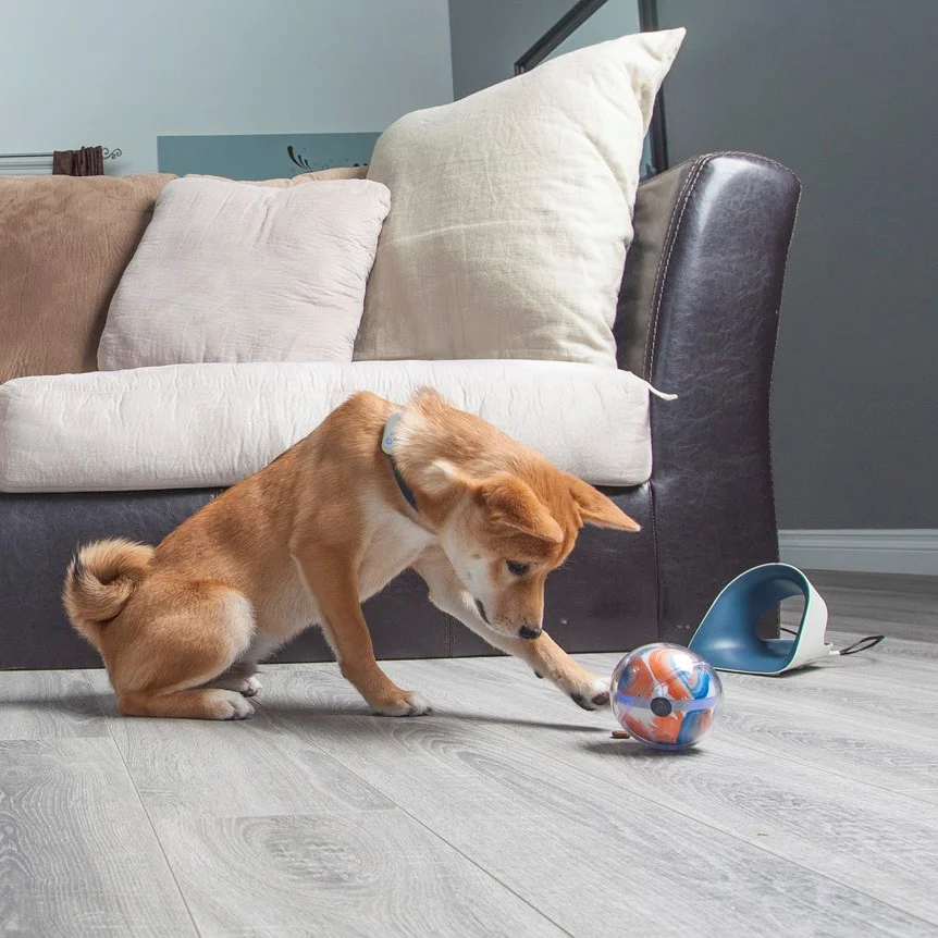 Pebby: Best Smart Dog Toy For 2017