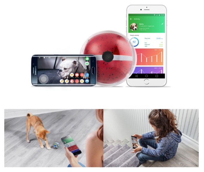 Smart Dog Toy - IPPINKA