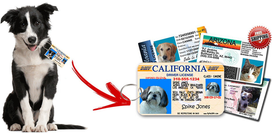 ID4Pet California Driver License Identification Tag for Cats or Dogs 
