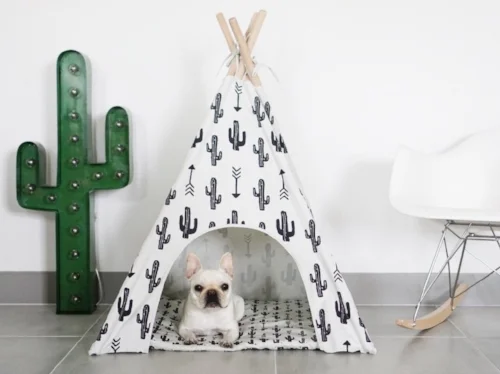 cactus dog teepee.jpg