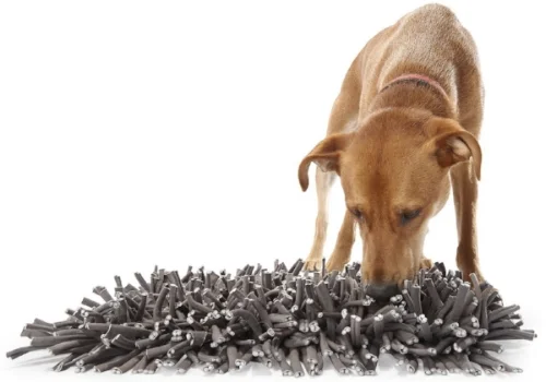 foraging mat.jpg