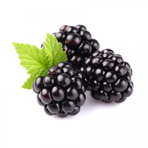 BLACKBERRIES.jpg